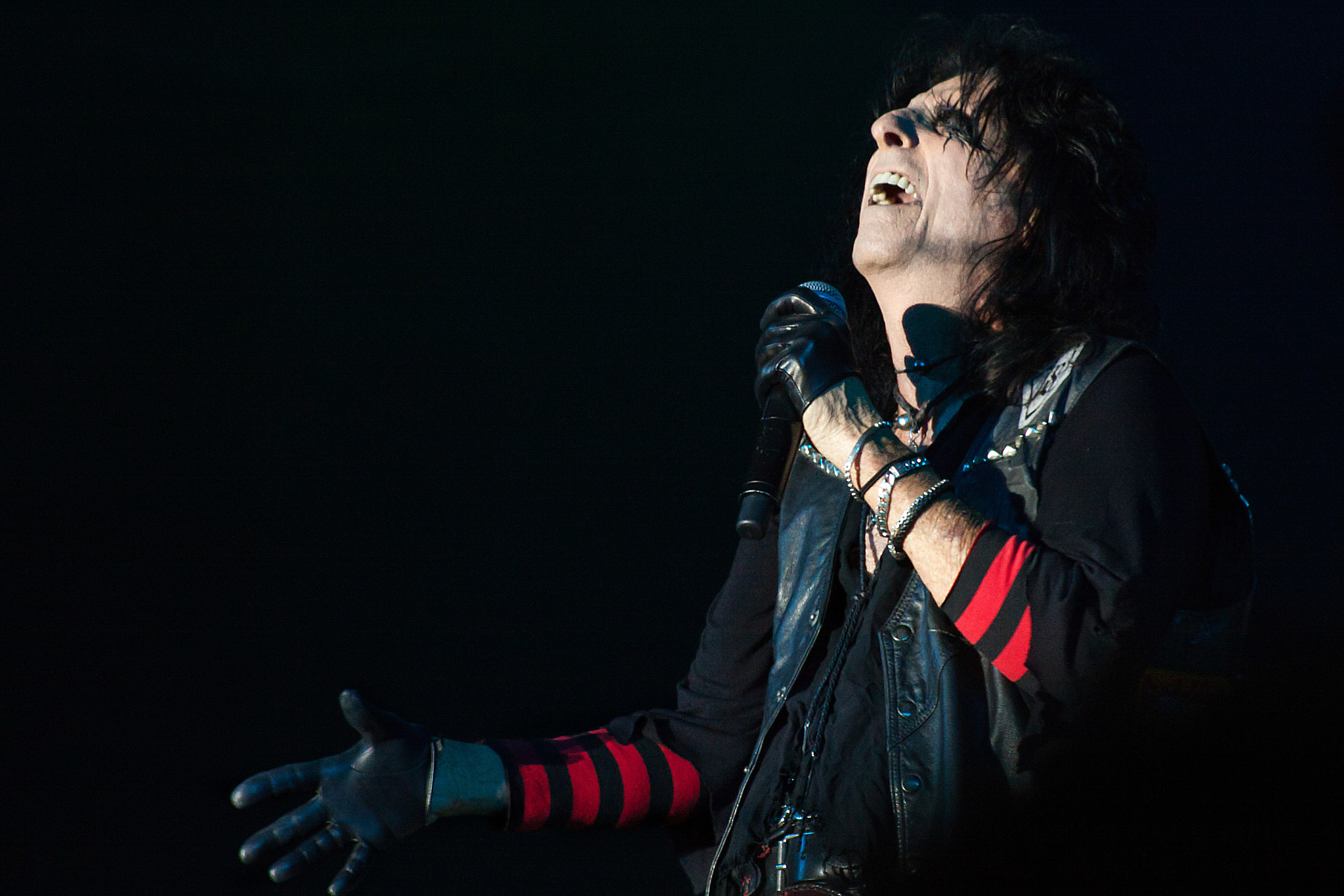 Canon EOS 50D + EF75-300mm f/4-5.6 sample photo. Alice cooper photography