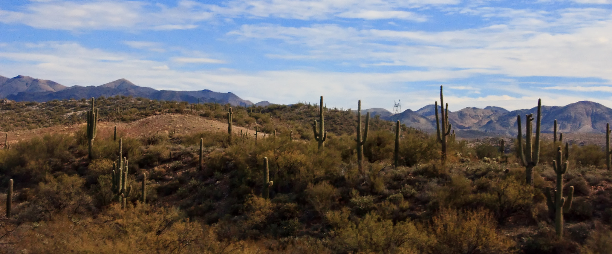 Sigma 18-200mm f/3.5-6.3 DC OS sample photo. Ariz photography