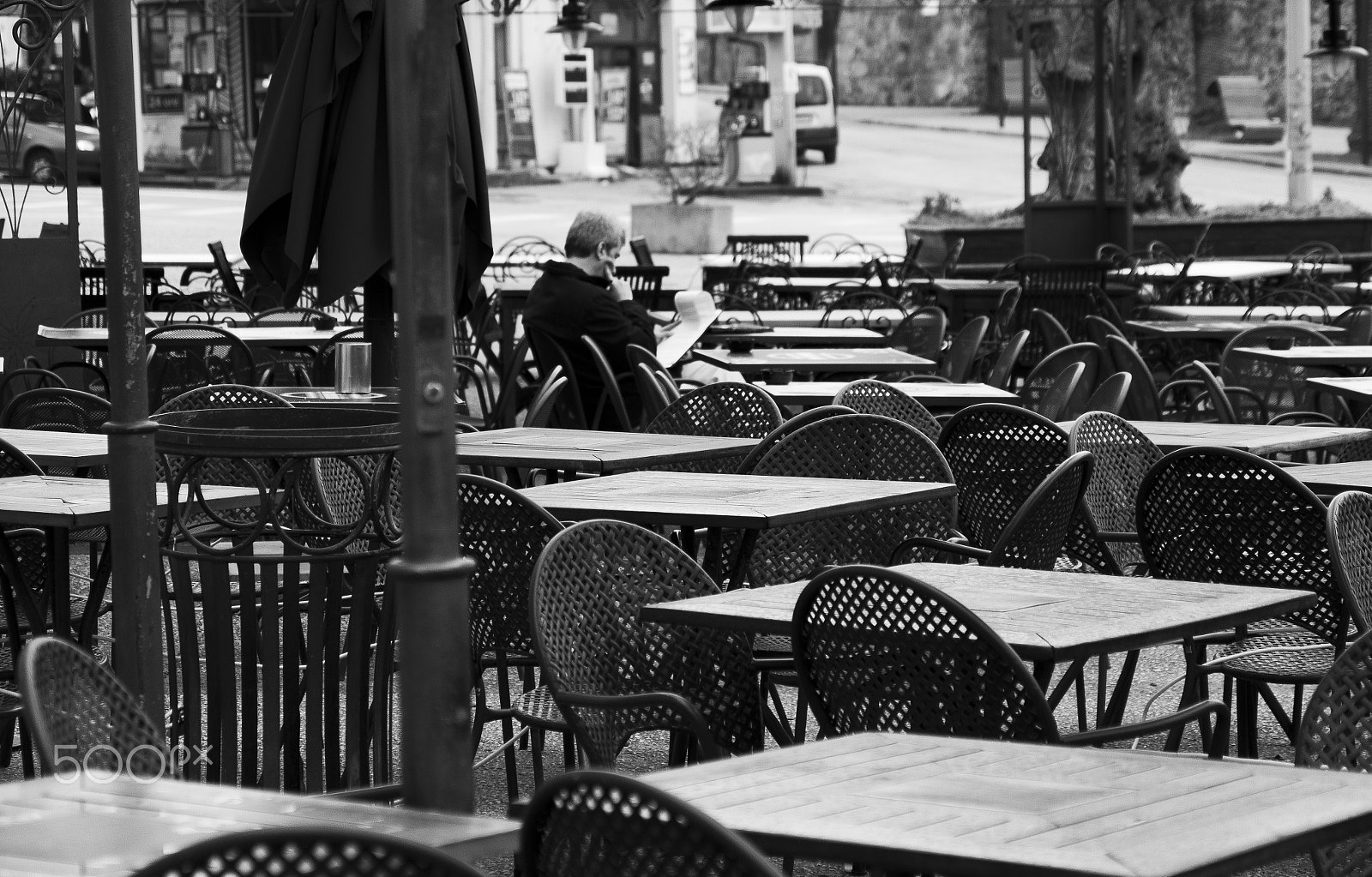 Sigma 17-70mm F2.8-4 DC Macro OS HSM sample photo. Reader photography