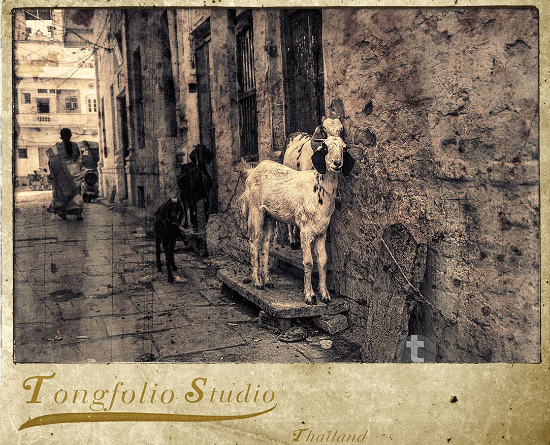 Hasselblad H3D + HCD 35-90 sample photo. Life in india./ antique picture style.by tongfolio photography
