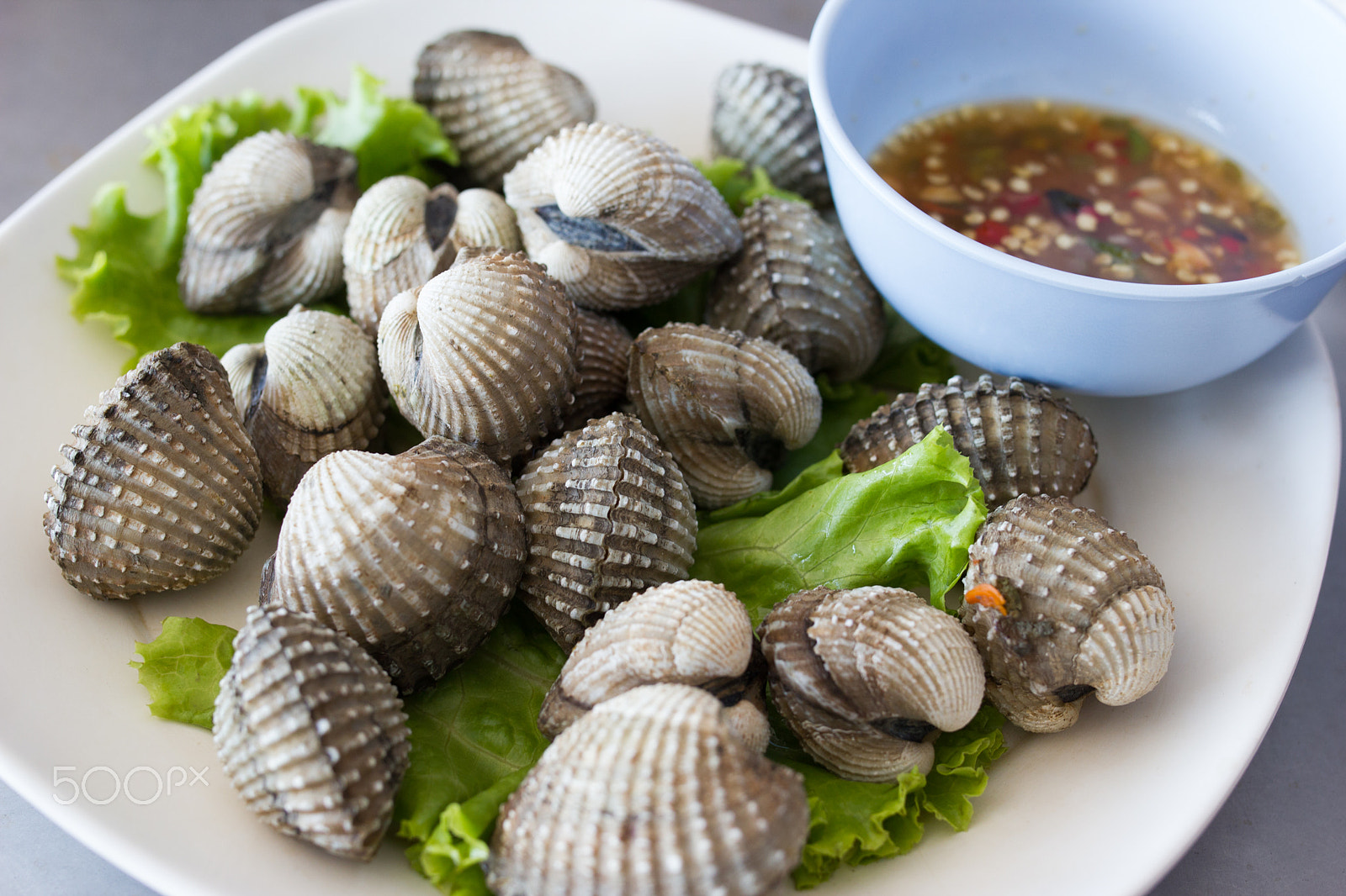 Canon EOS 550D (EOS Rebel T2i / EOS Kiss X4) sample photo. Scallop scald with sea food sauce photography