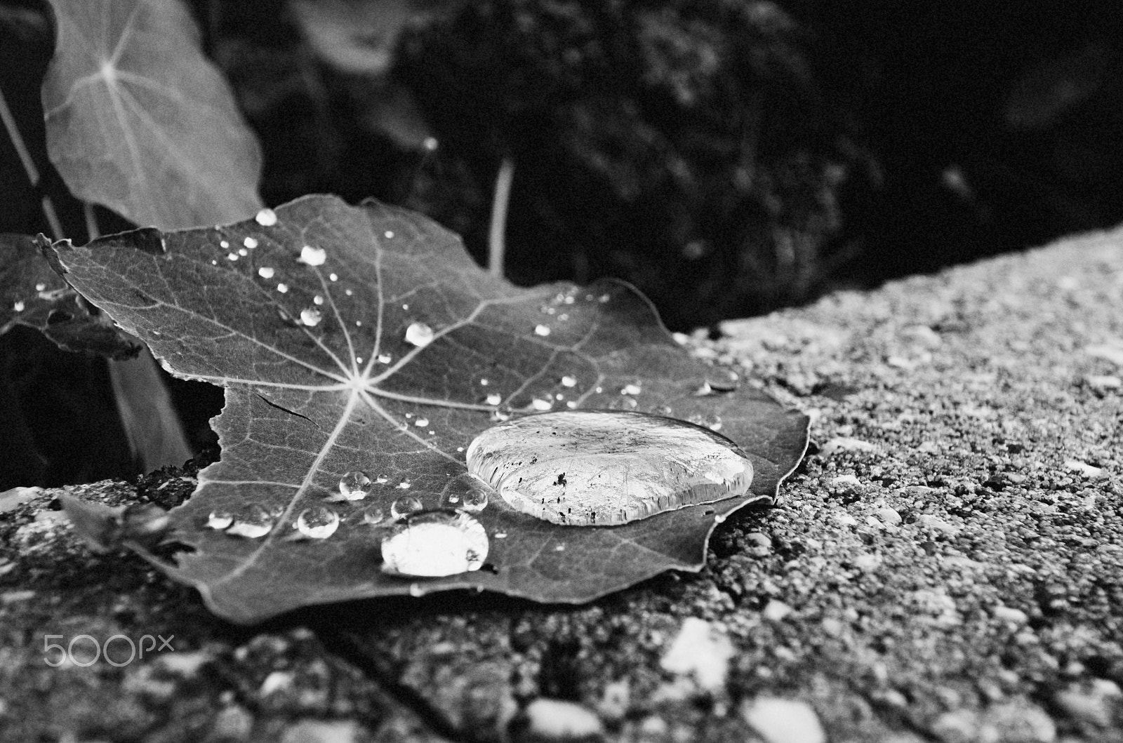 Pentax K-5 II sample photo. The netherlands photography