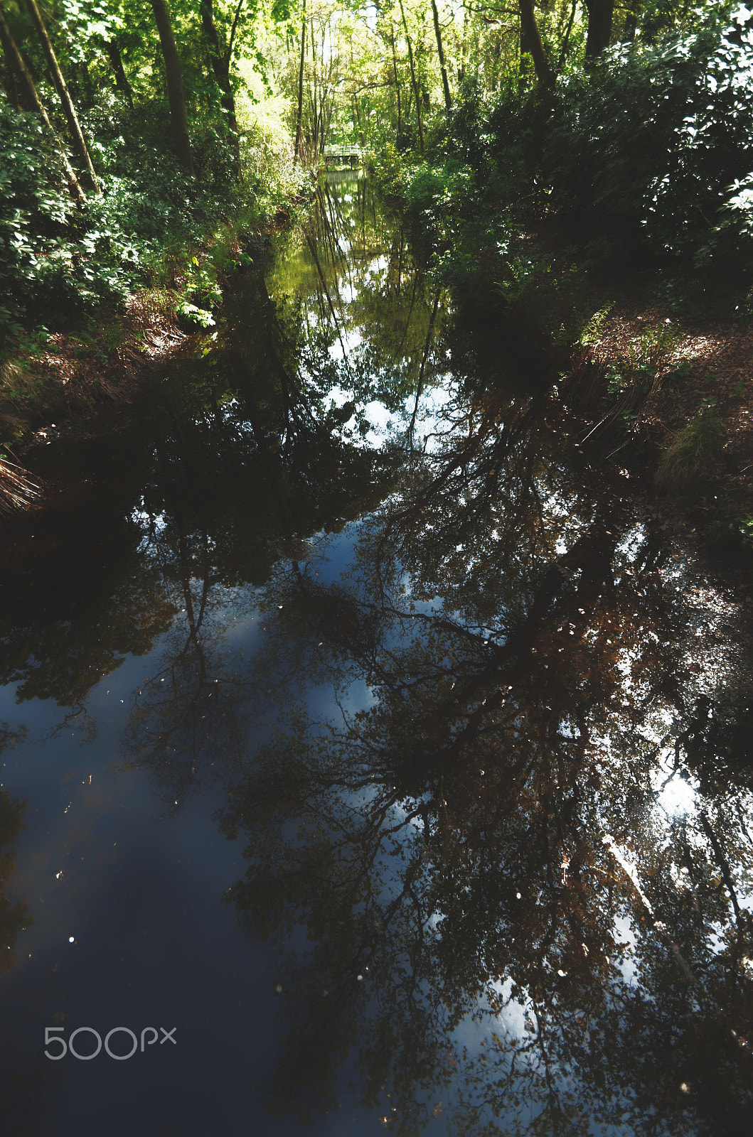Pentax K-5 II sample photo. The netherlands photography