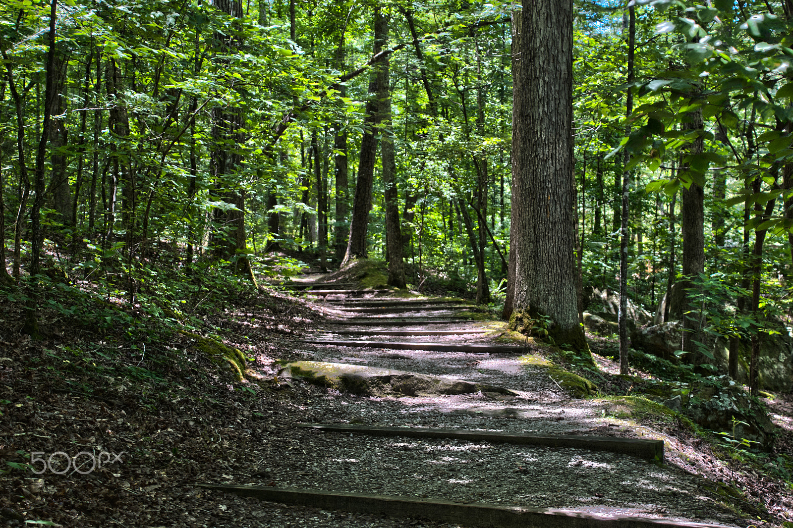 Nikon D40X sample photo. Ccc trail tishomingo three photography