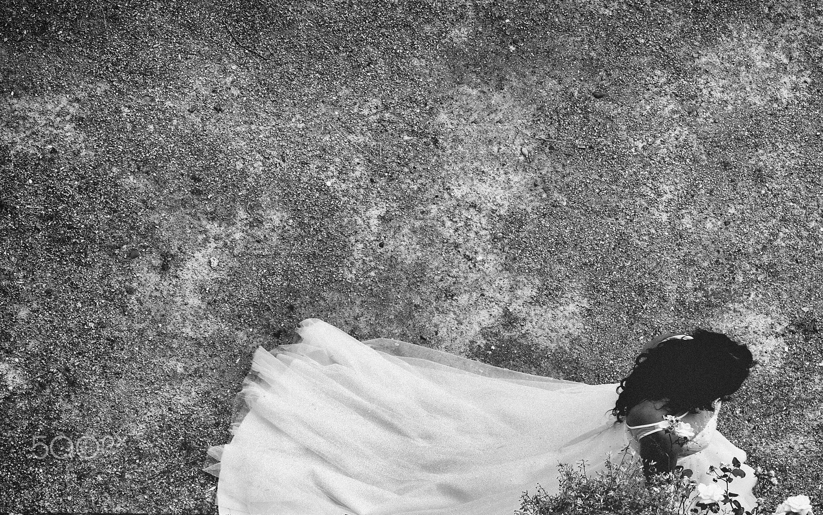 Canon EOS-1D Mark II N sample photo. After the ceremony photography