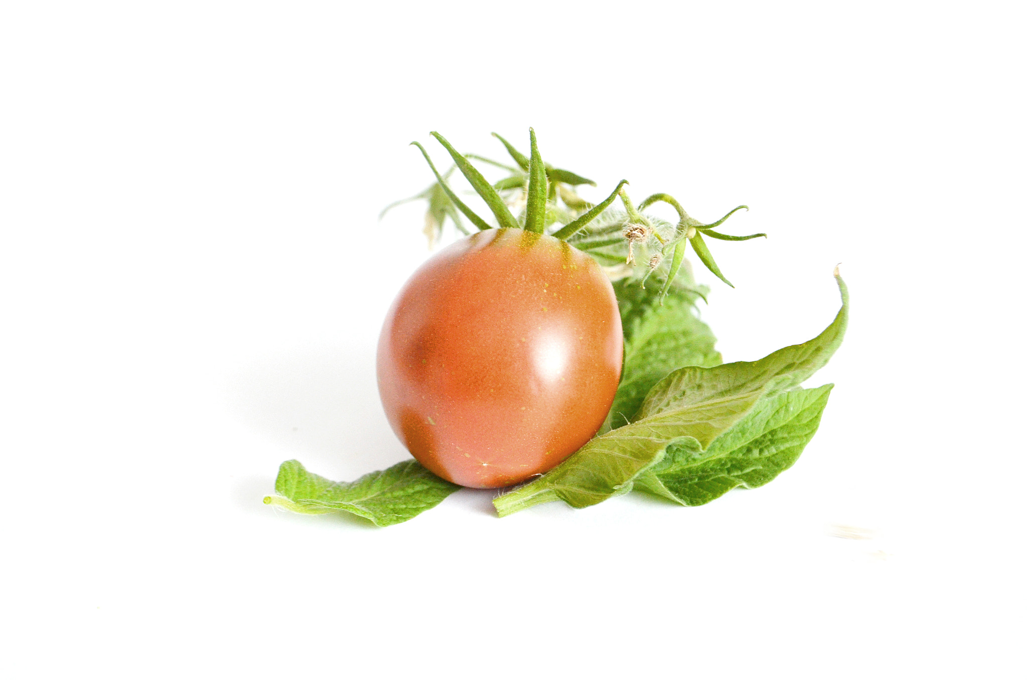 Nikon D5100 + AF Nikkor 24mm f/2.8 sample photo. Tomato photography