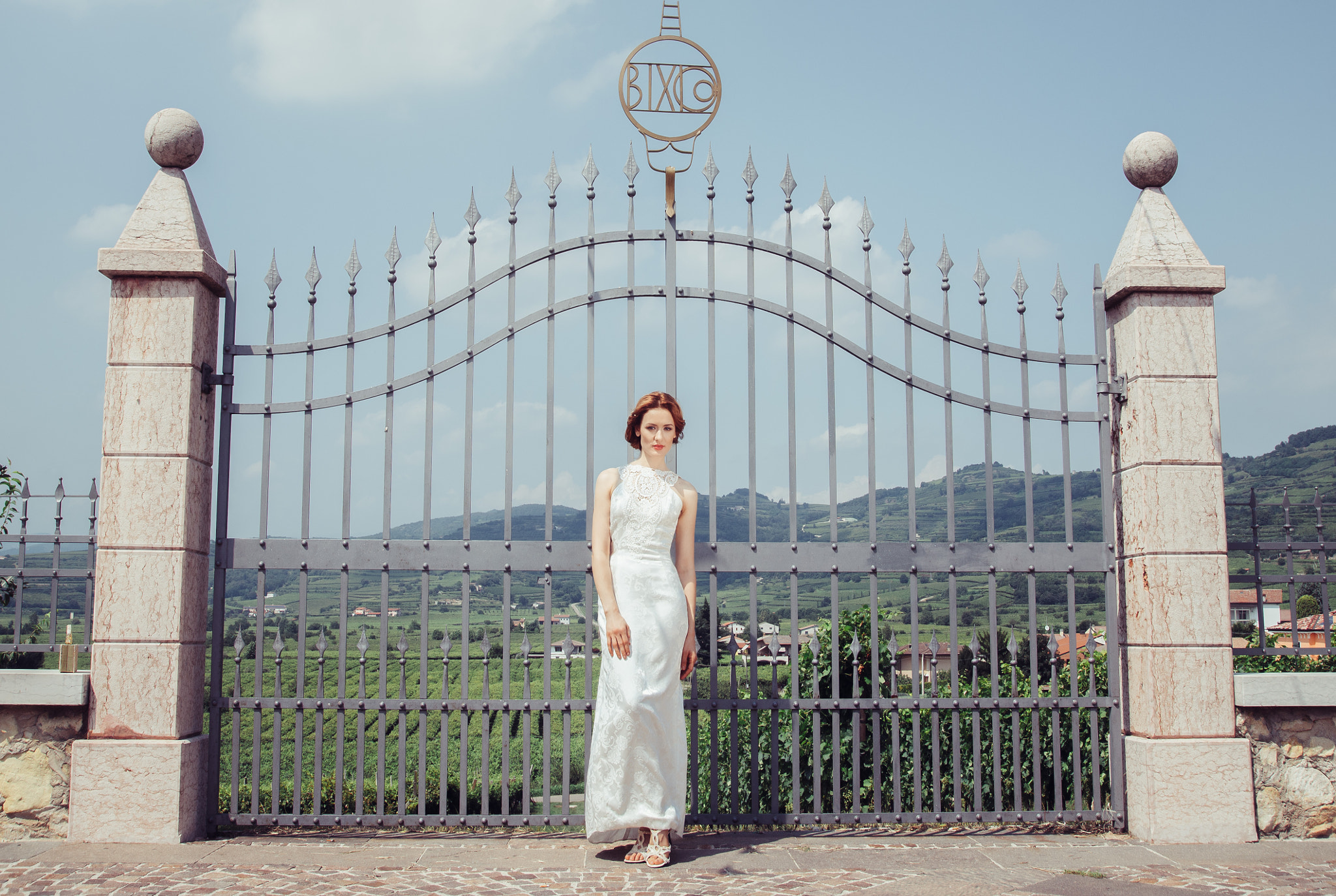 Nikon D600 + Sigma 24-105mm F4 DG OS HSM Art sample photo. The gate photography