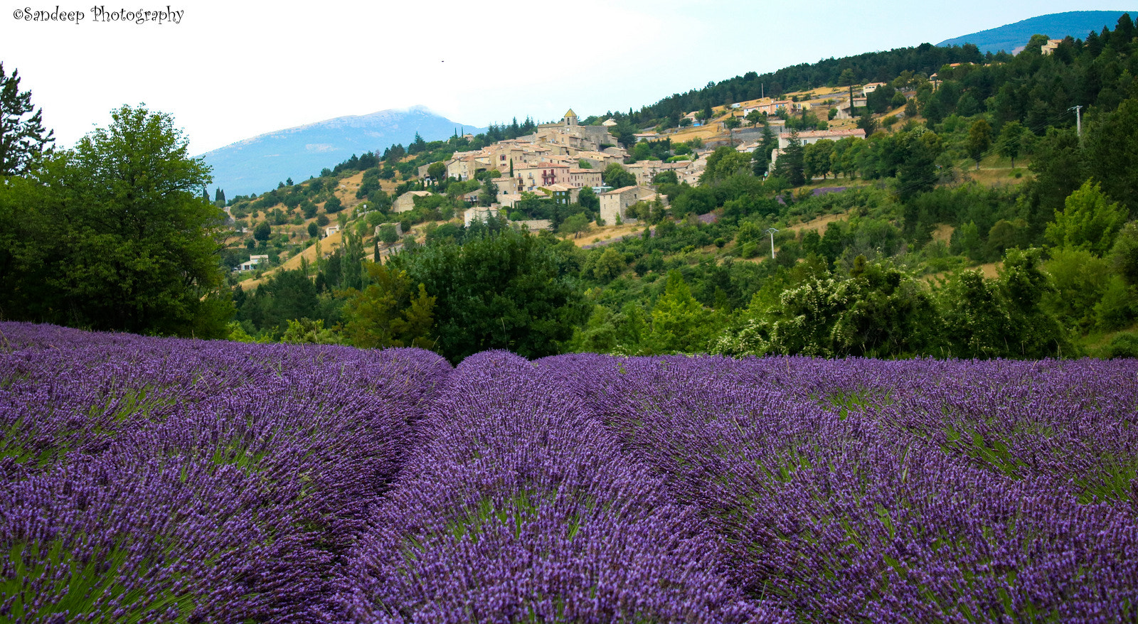Canon EOS 750D (EOS Rebel T6i / EOS Kiss X8i) sample photo. Lavender fields photography