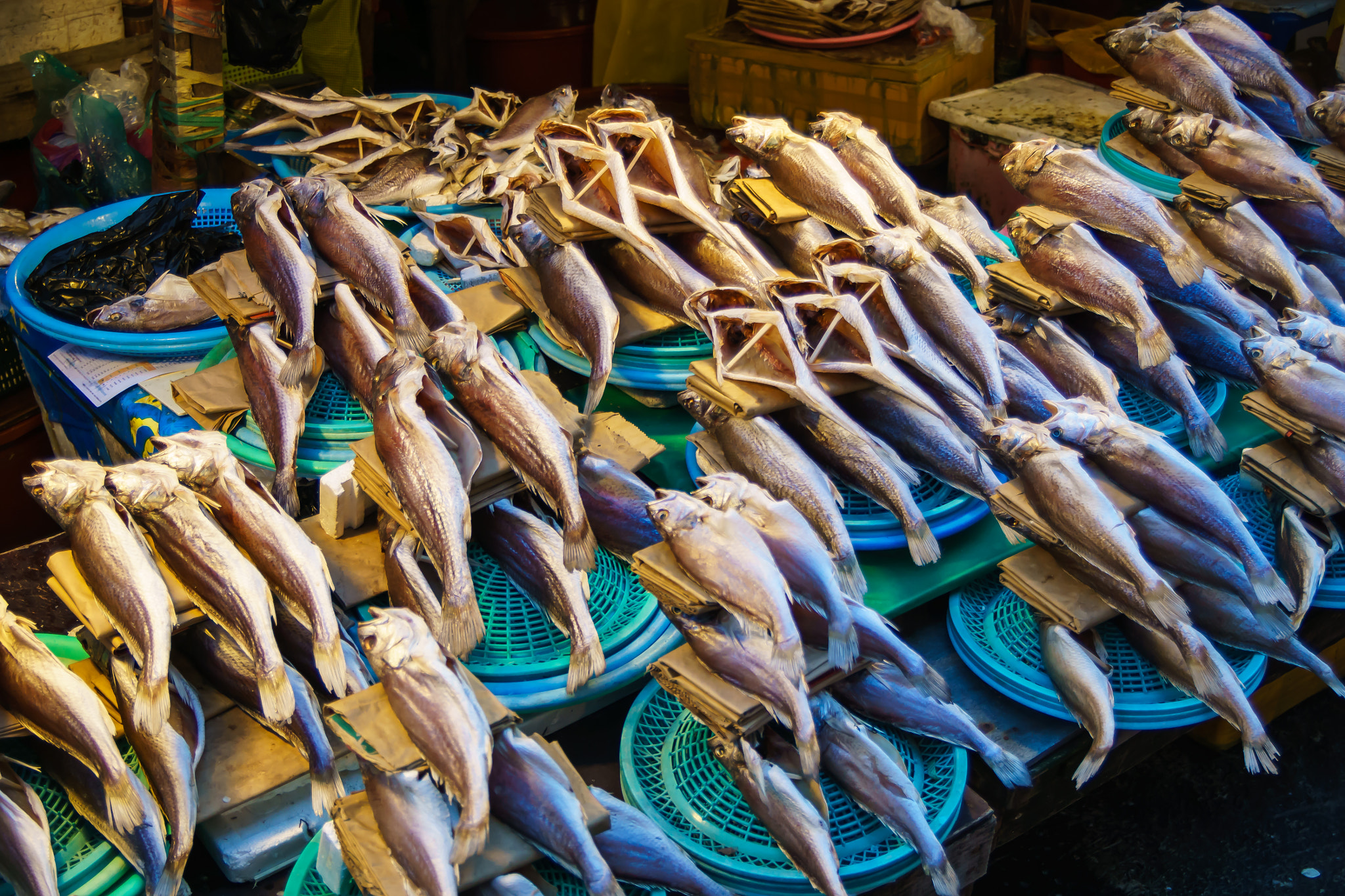 Sony ILCA-77M2 sample photo. Busan jagalchi fish market photography
