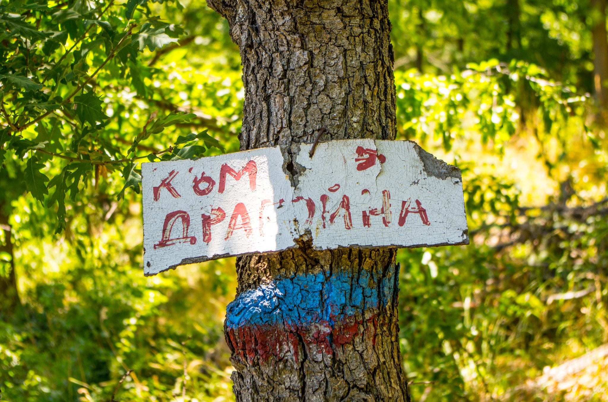 Pentax K-5 sample photo. To dragoyna photography