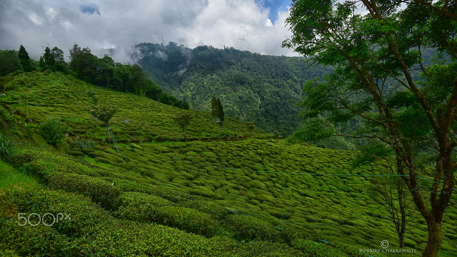 AF Nikkor 28mm f/2.8 sample photo. Darjeeling photography