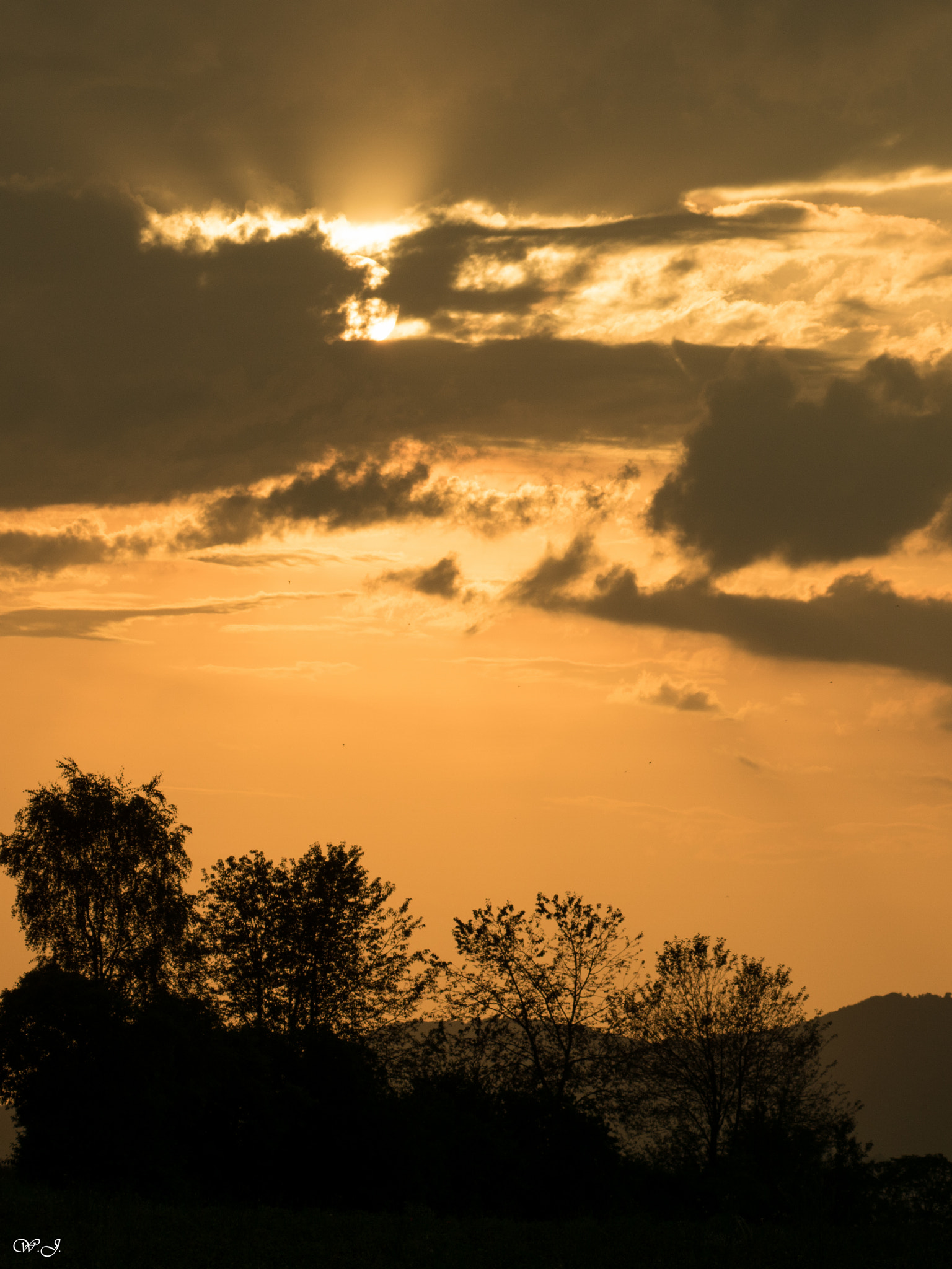 Sony 75-300mm F4.5-5.6 sample photo. Light & shadow photography