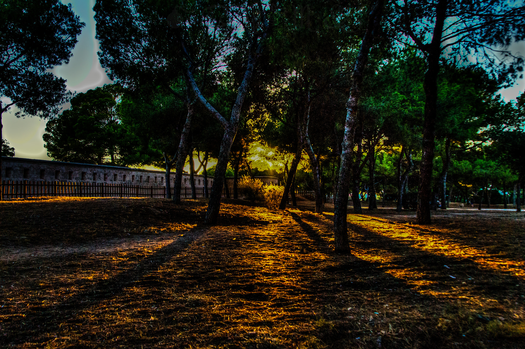 Tamron 18-270mm F3.5-6.3 Di II PZD sample photo. Hdr lights () photography