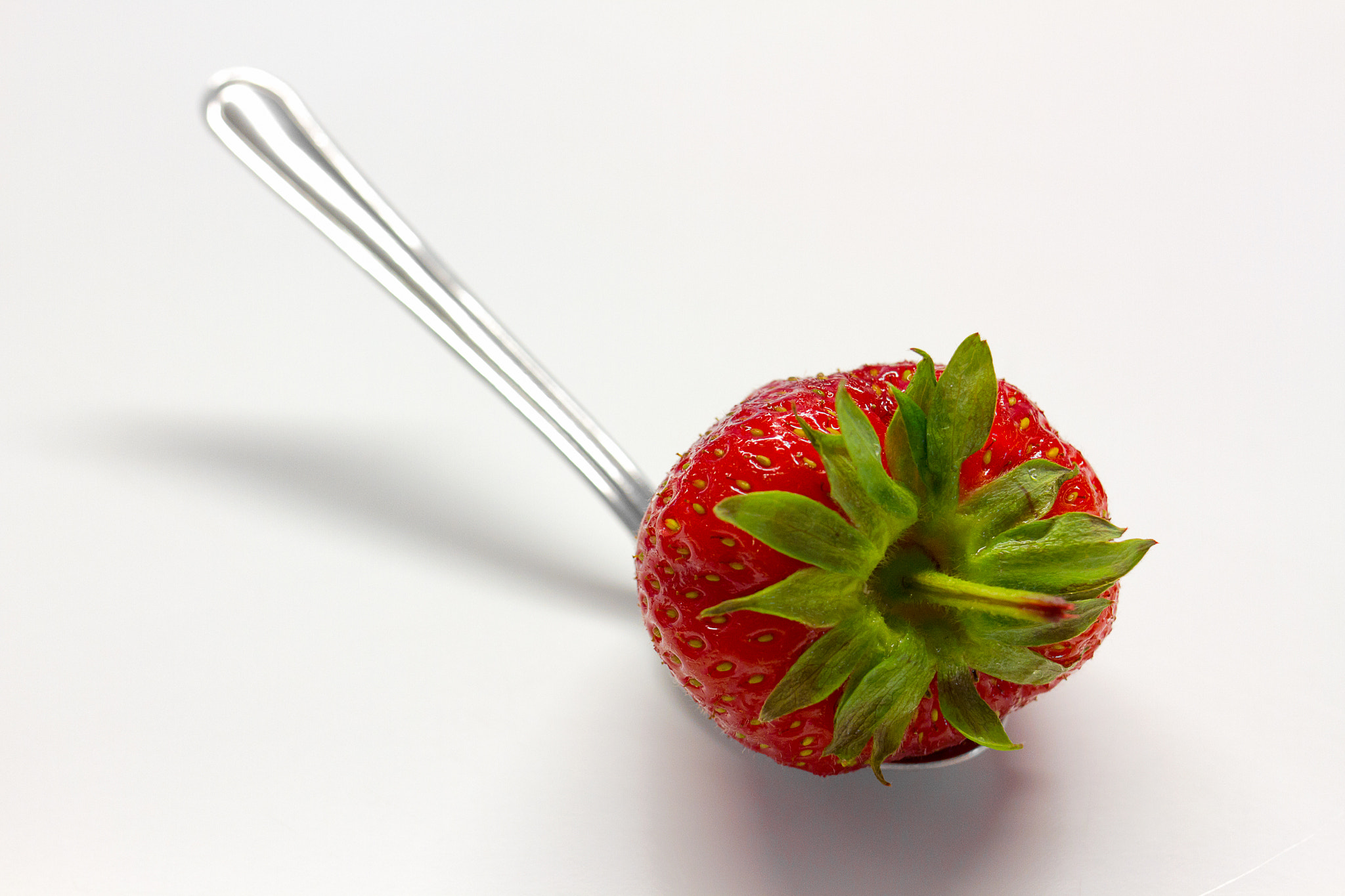 Canon EF 24mm F2.8 IS USM sample photo. Wild strawberry photography