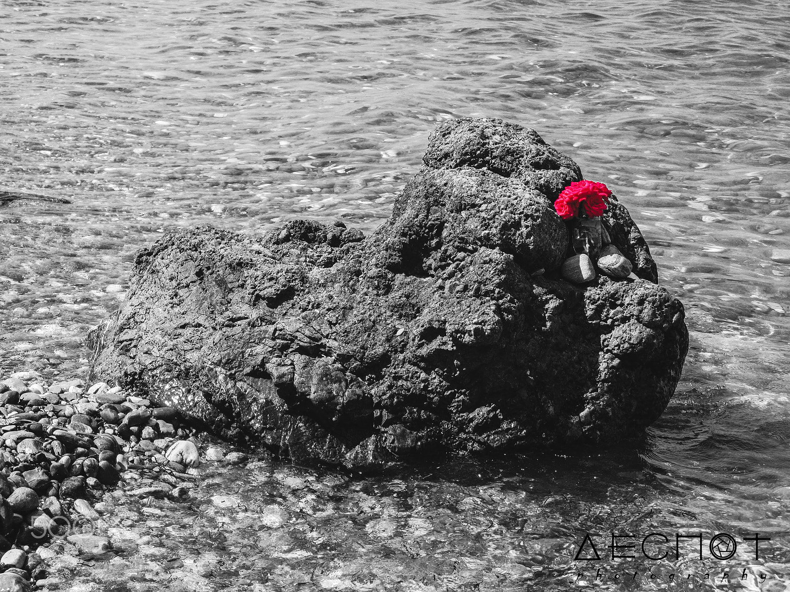 Canon POWERSHOT A650 IS sample photo. Lost love photography
