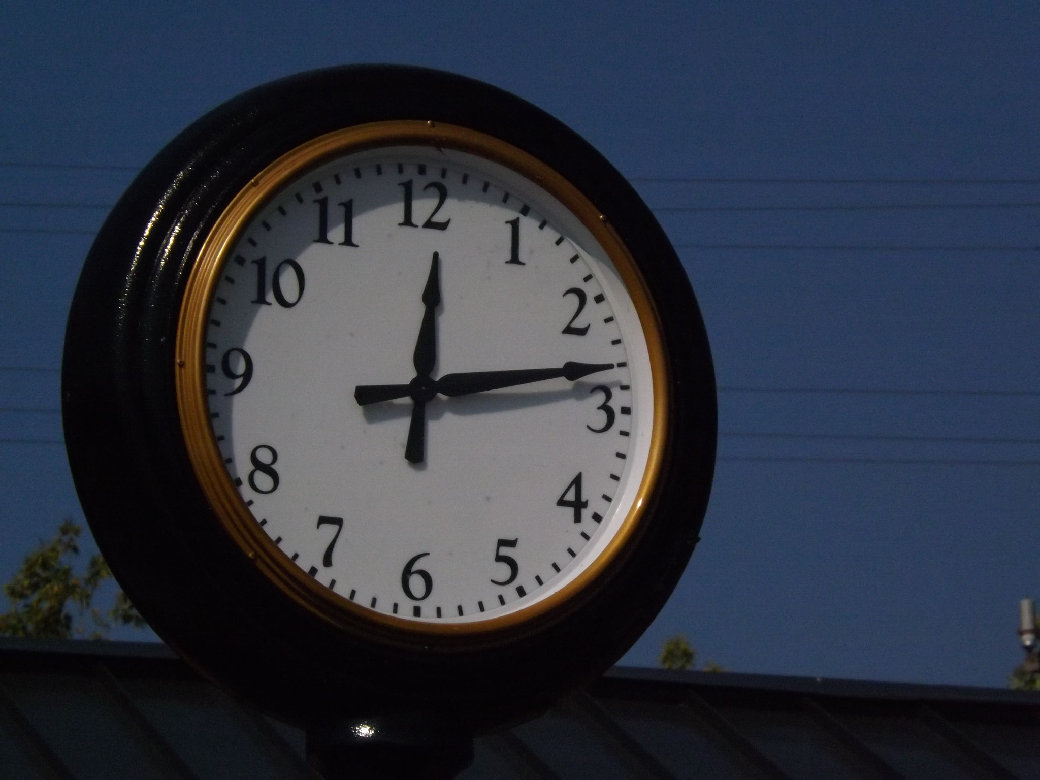 Fujifilm FinePix S4250/Walmart sample photo. Northport photography