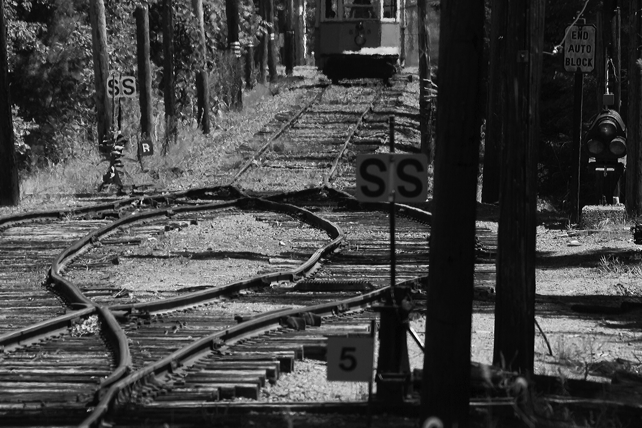 Sigma 50-500mm f/4-6.3 APO HSM EX sample photo. Tracks photography