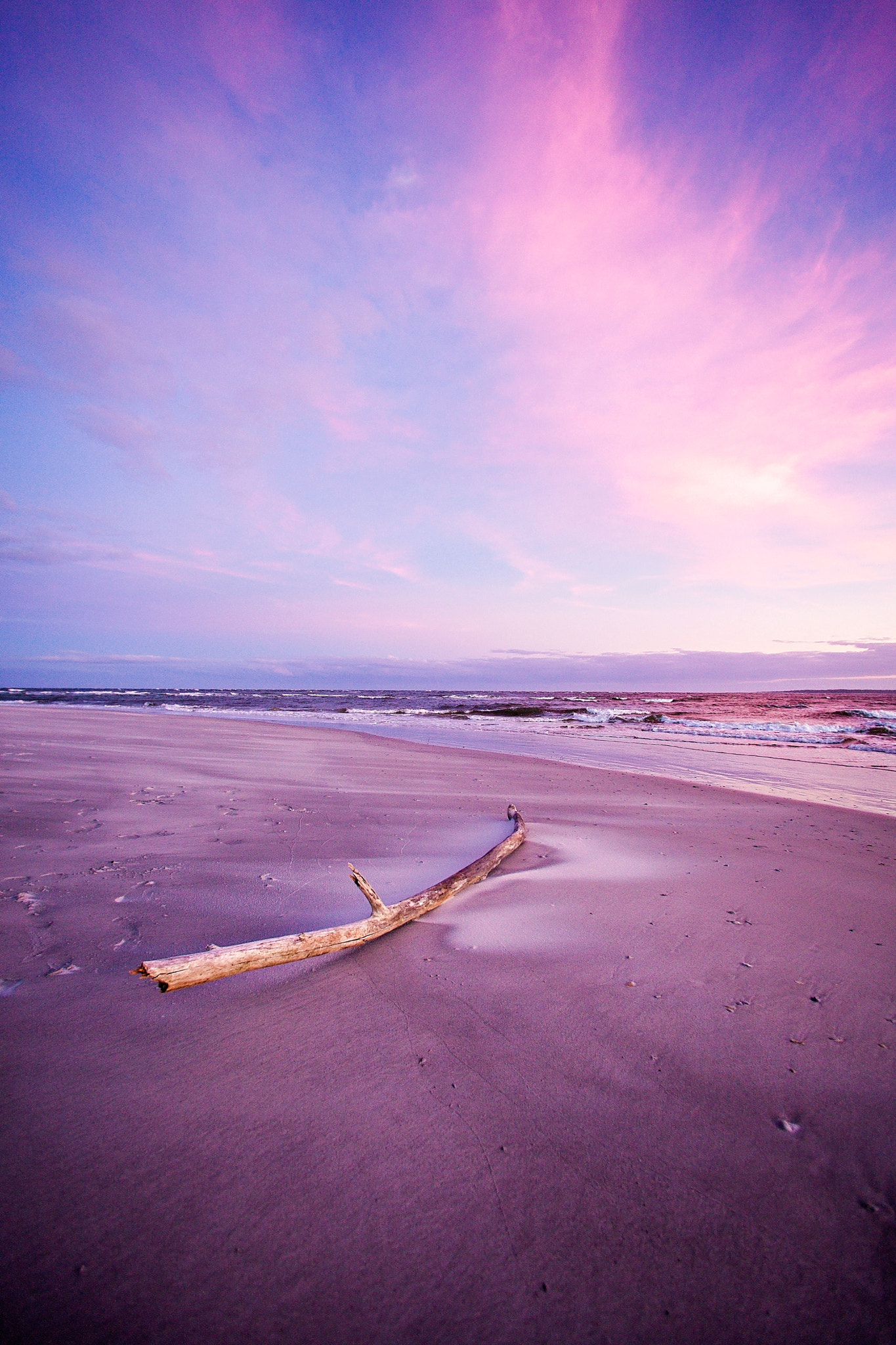 Canon EF 14mm F2.8L USM sample photo. Pink photography