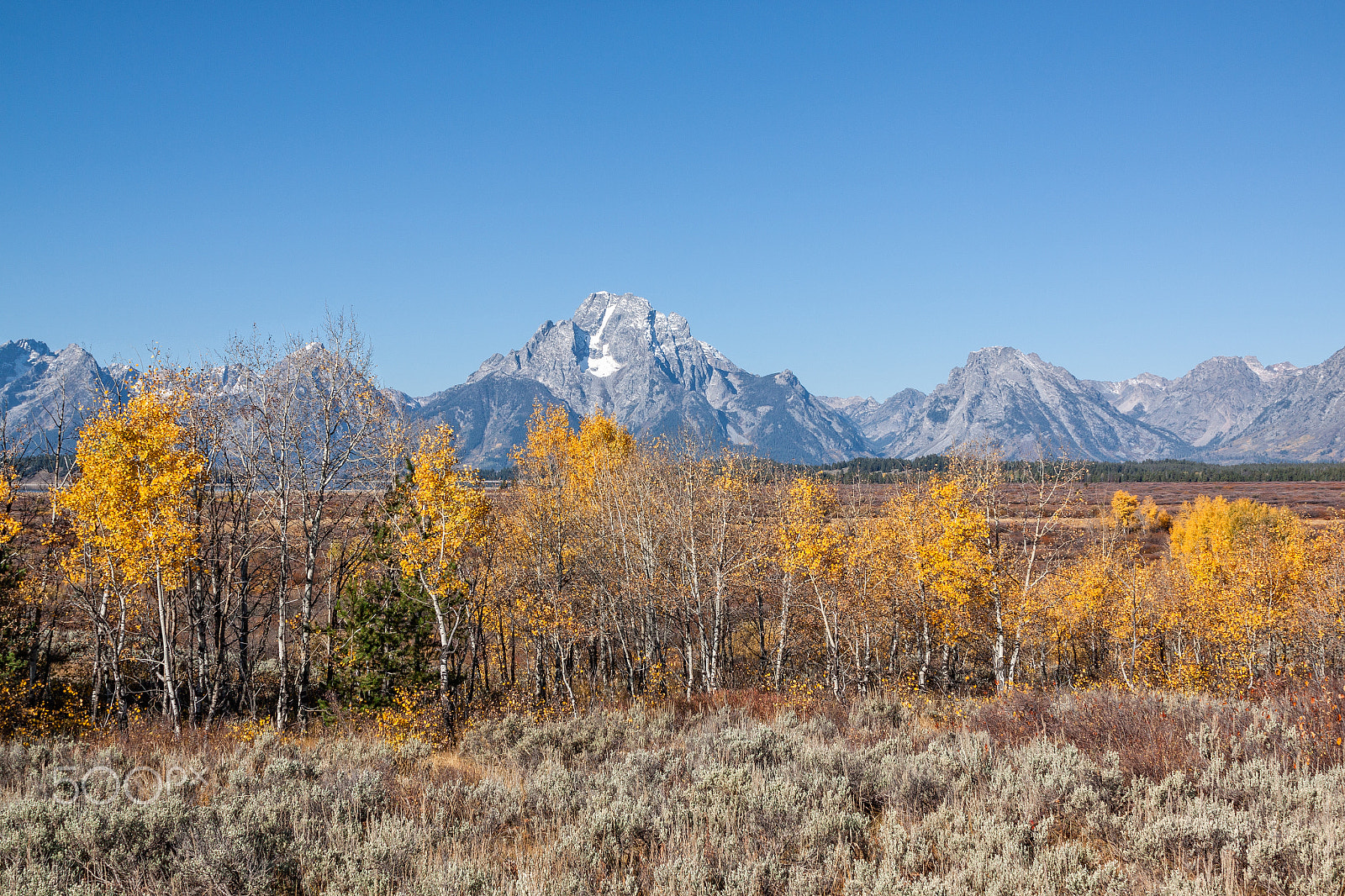 Canon EOS 50D + EF28-70mm f/2.8L USM sample photo. Teton autumn photography