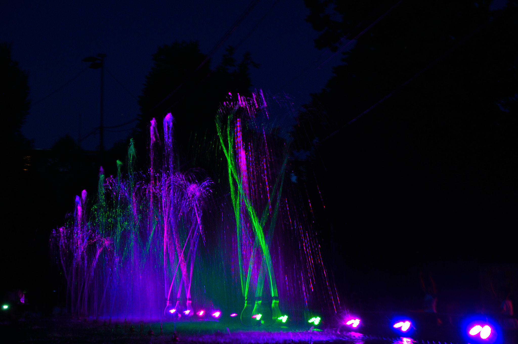 Nikon D300S sample photo. _mer3470.jpg photography