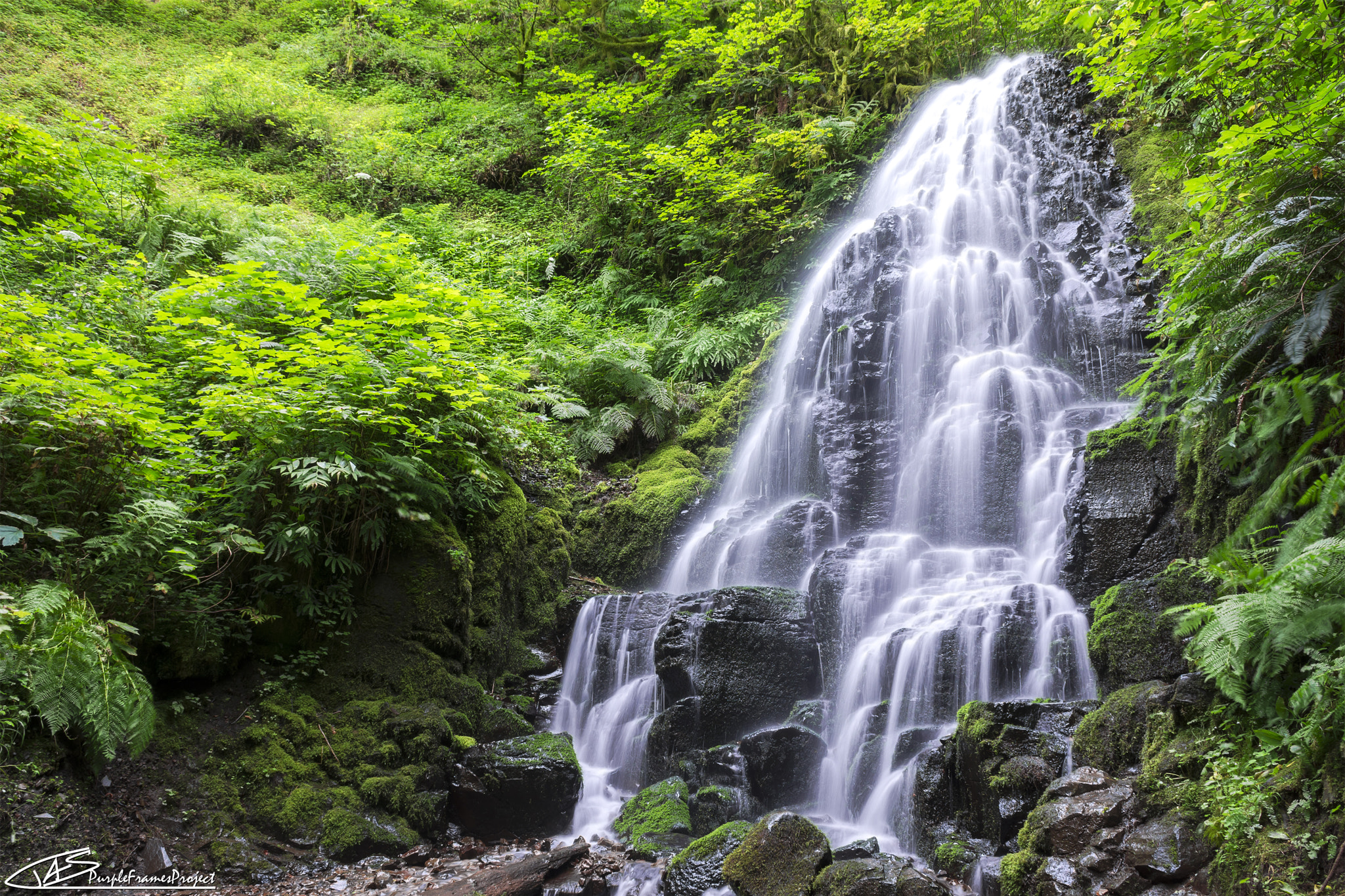 Nikon D7200 + Sigma 18-50mm F2.8-4.5 DC OS HSM sample photo. Tributary photography