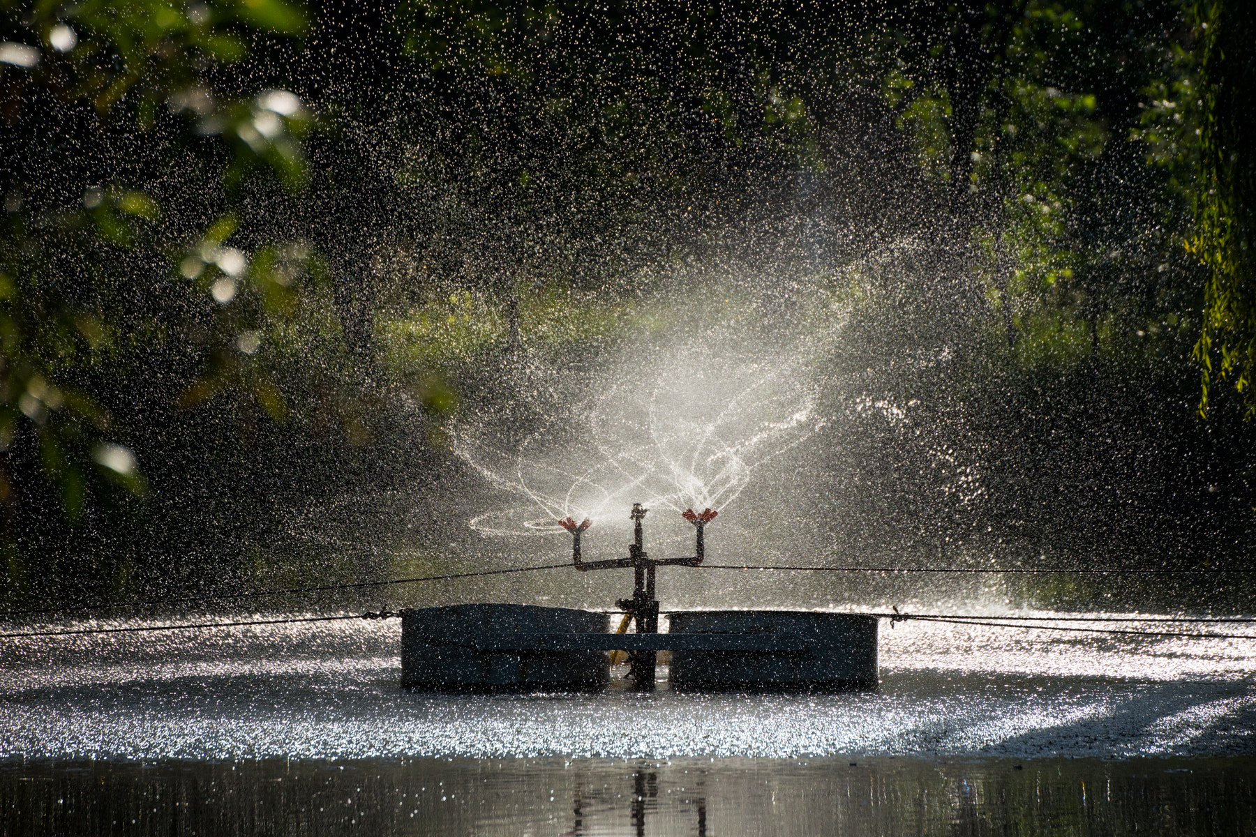 Sony a99 II + Tamron SP 70-300mm F4-5.6 Di USD sample photo. Sprinkler on a fishing pond photography