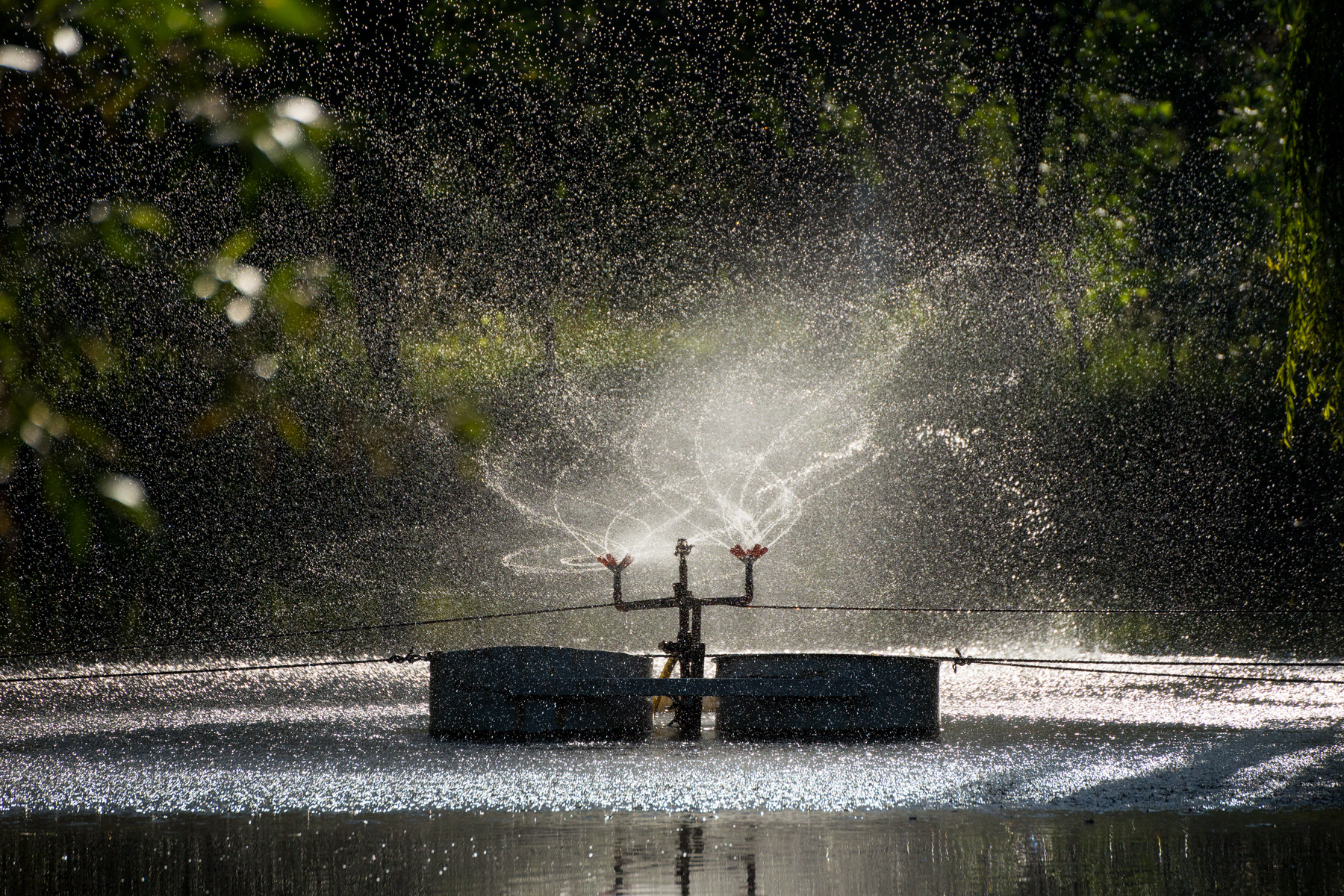 Tamron SP 70-300mm F4-5.6 Di USD sample photo. Sprinkler on a fishing pond photography