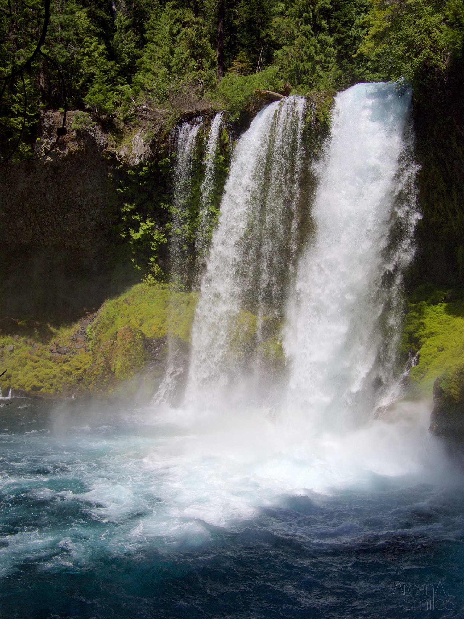 Olympus OM-D E-M5 + LUMIX G 20/F1.7 II sample photo. Koosah falls, oregon photography