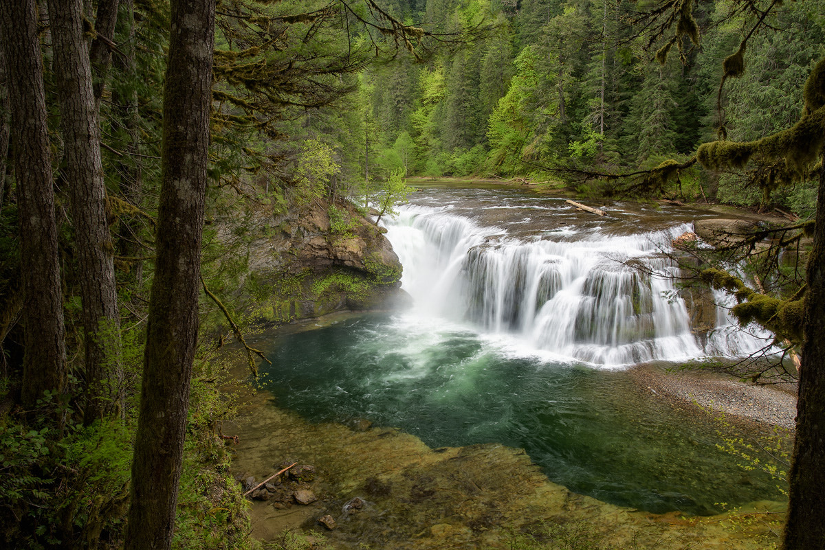 Nikon D810 + Nikon AF-S Nikkor 200-400mm F4G ED-IF VR sample photo. Lower lewis falls, wa photography