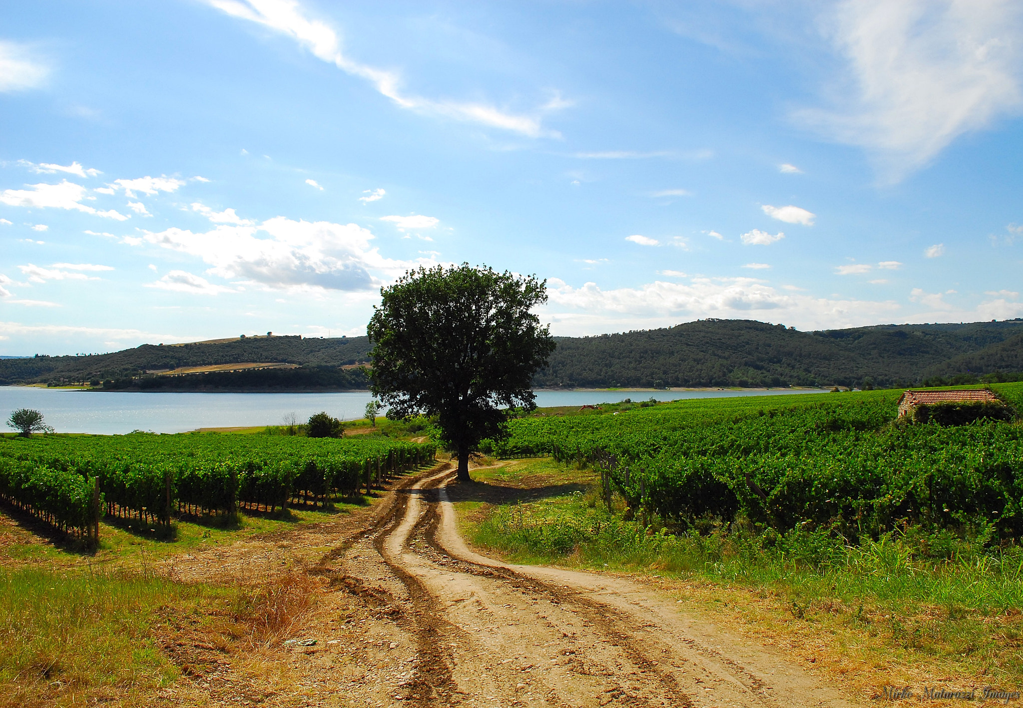 Nikon D200 sample photo. Corbara lake  photography