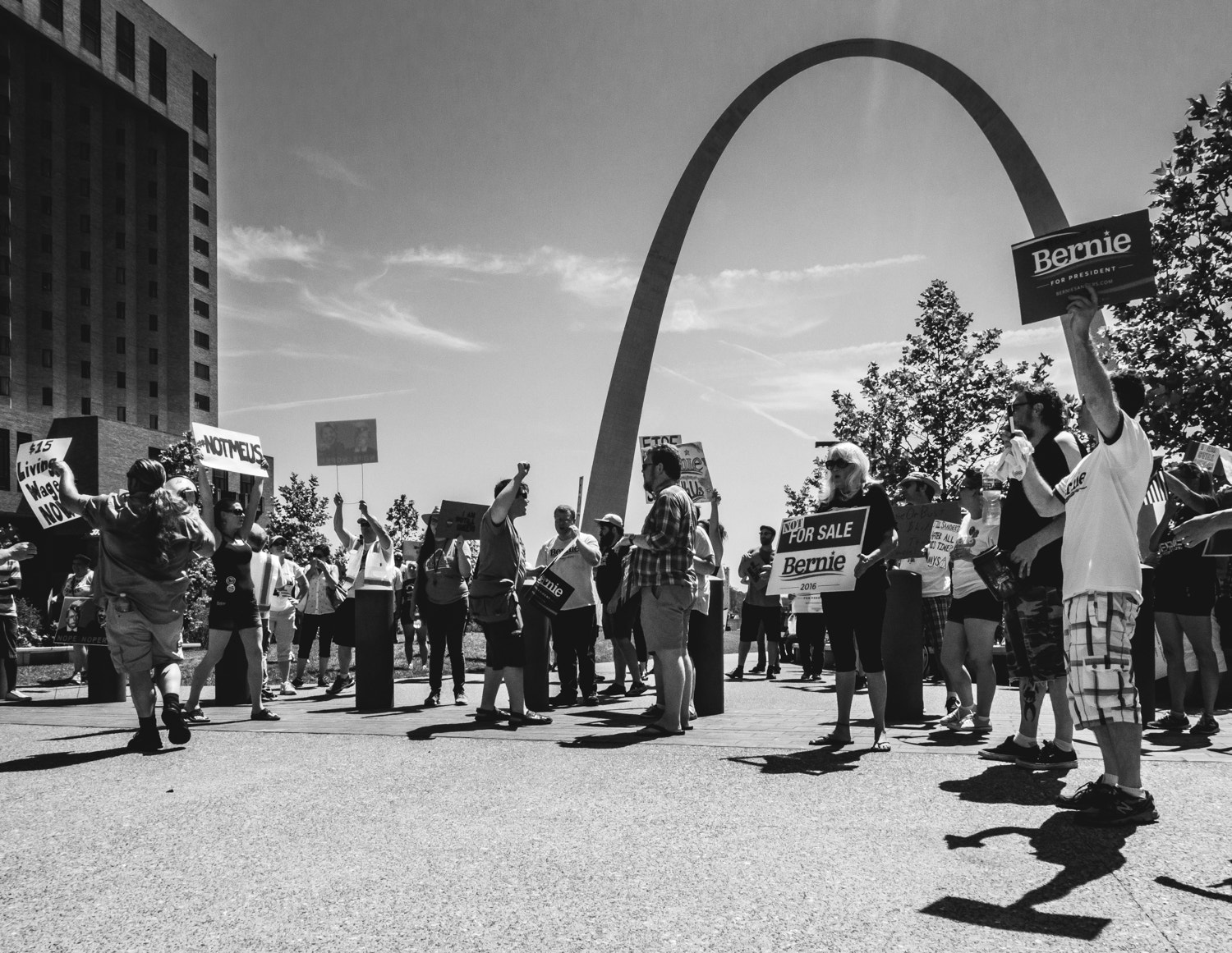 Olympus OM-D E-M10 + OLYMPUS M.12-50mm F3.5-6.3 sample photo. March for bernie stl photography