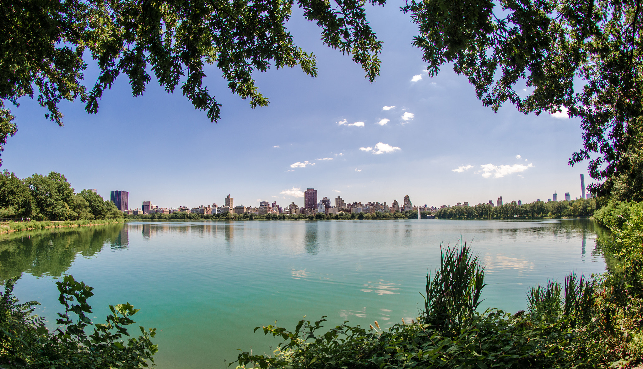 Nikon D7000 + Samyang 8mm F3.5 Aspherical IF MC Fisheye sample photo. Central park photography