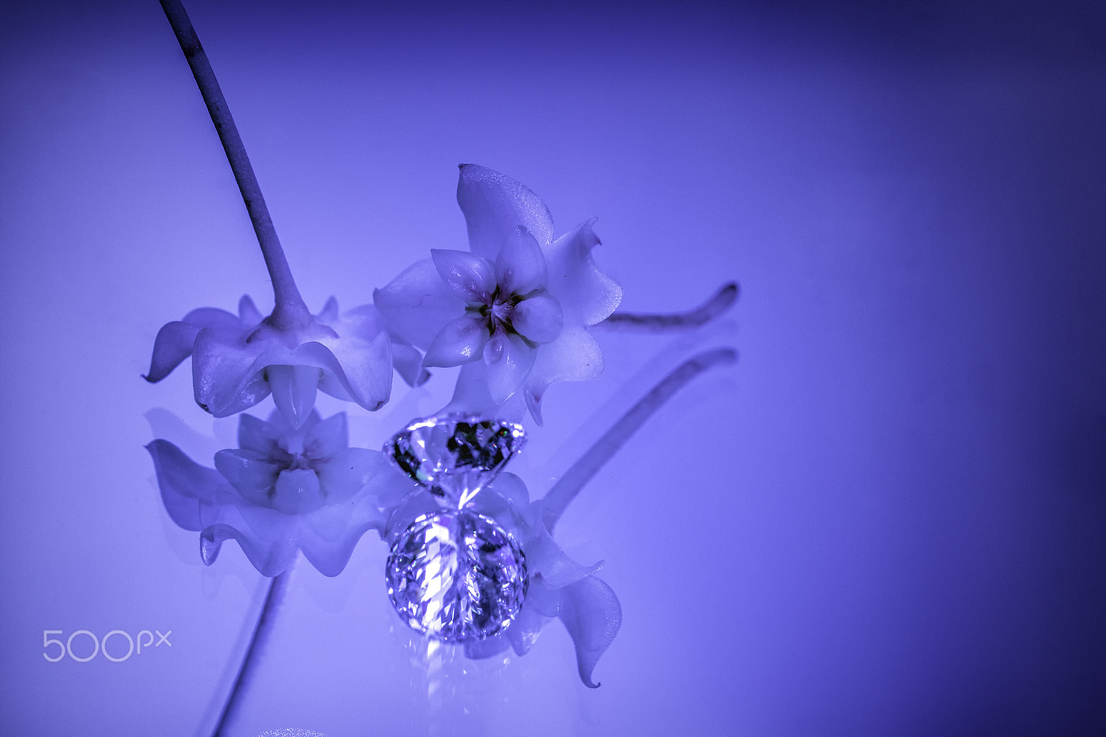 Nikon AF-S Micro-Nikkor 60mm F2.8G ED sample photo. Phase blau --phase blue photography