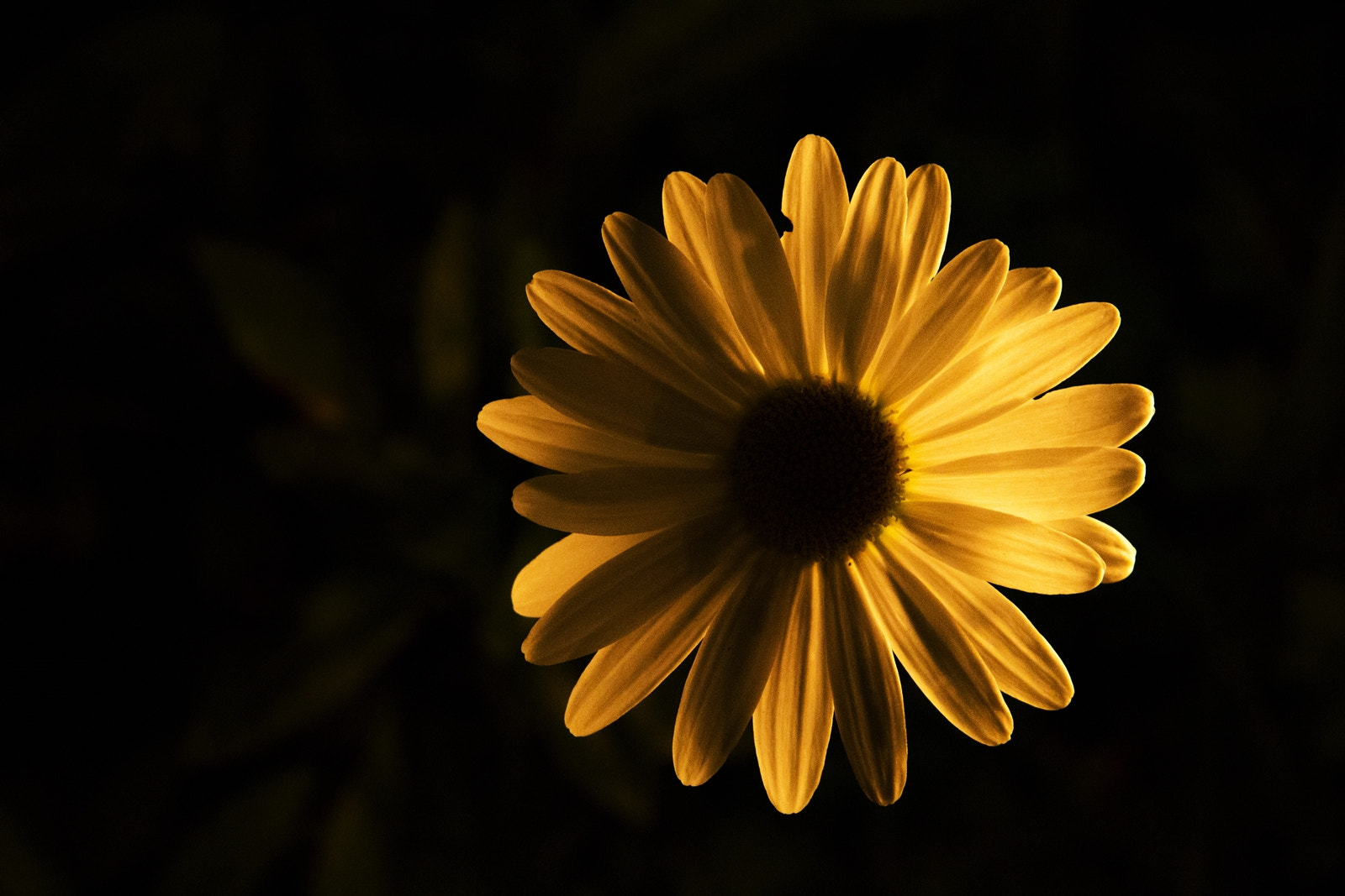 Canon EF-S 17-85mm F4-5.6 IS USM sample photo