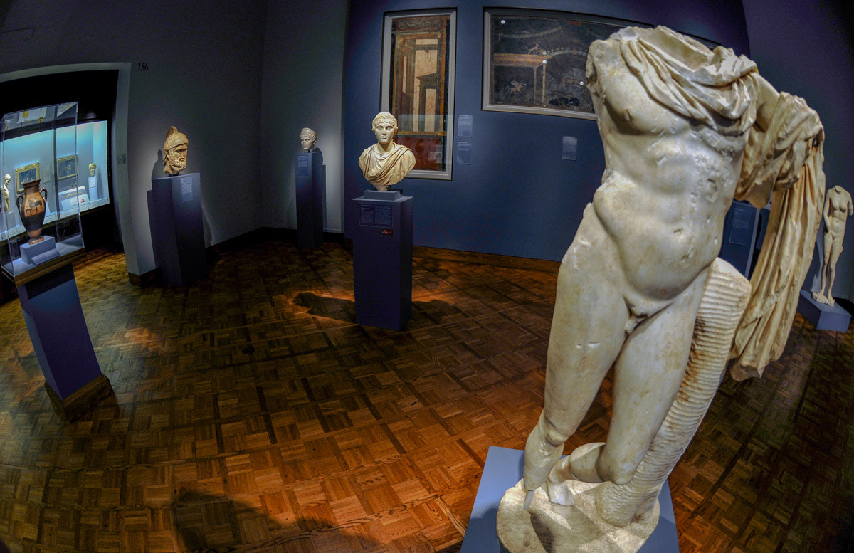 Nikon AF DX Fisheye-Nikkor 10.5mm F2.8G ED sample photo. Sculptures at chicago art institute photography