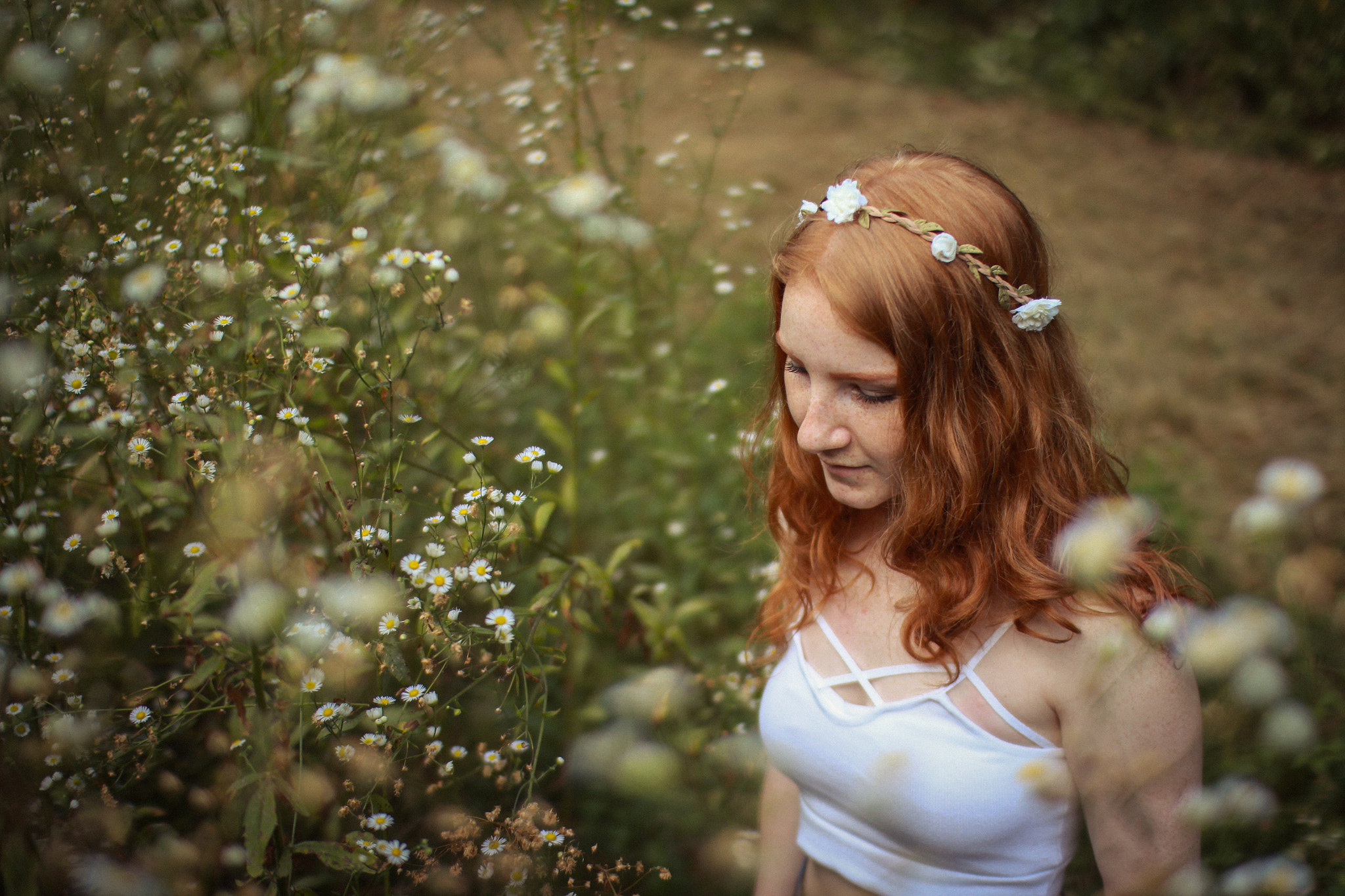 Sigma 30mm F1.4 EX DC HSM sample photo. Dreamer photography
