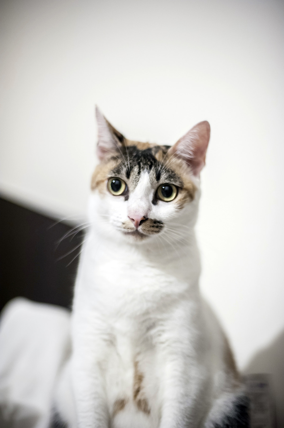 AF Nikkor 50mm f/1.4 sample photo. 02.jpg photography