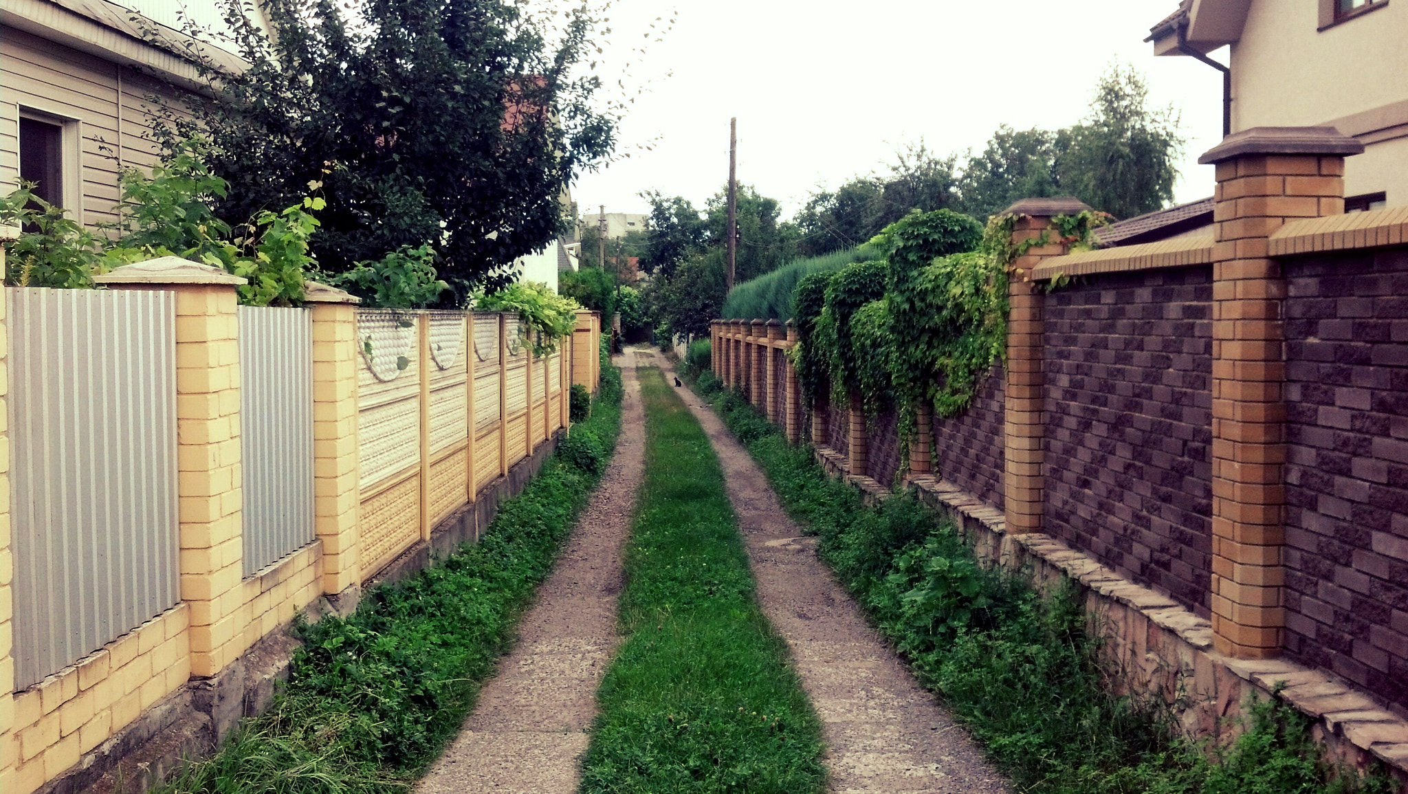 Motorola DROID RAZR sample photo