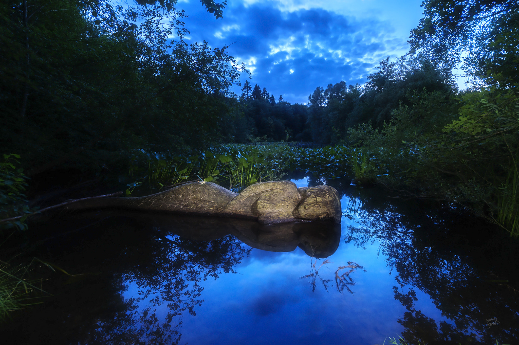 Sigma 8-16mm F4.5-5.6 DC HSM sample photo. Leucosie photography