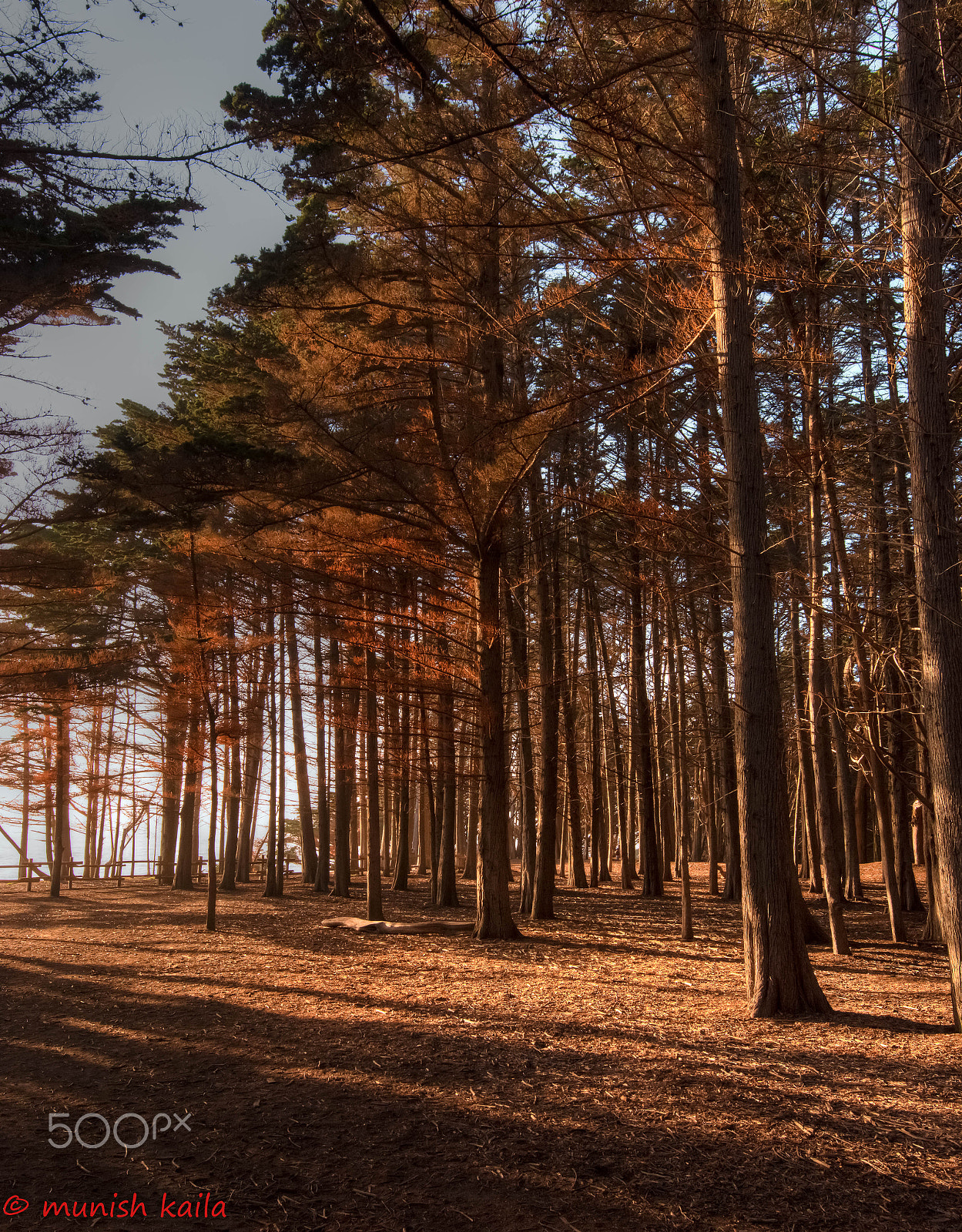 Nikon AF-S Nikkor 16-35mm F4G ED VR sample photo. Shadows photography