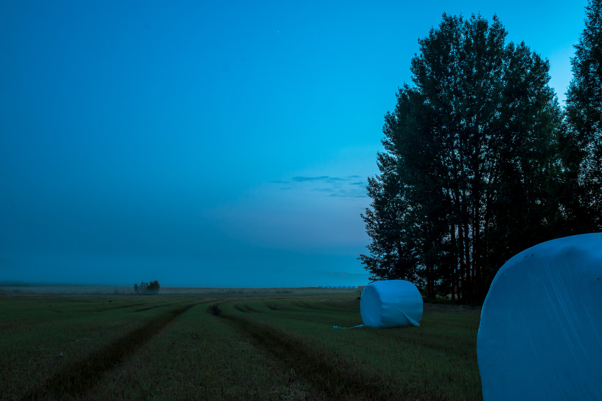 Canon EF 20mm F2.8 USM sample photo. Fog photography