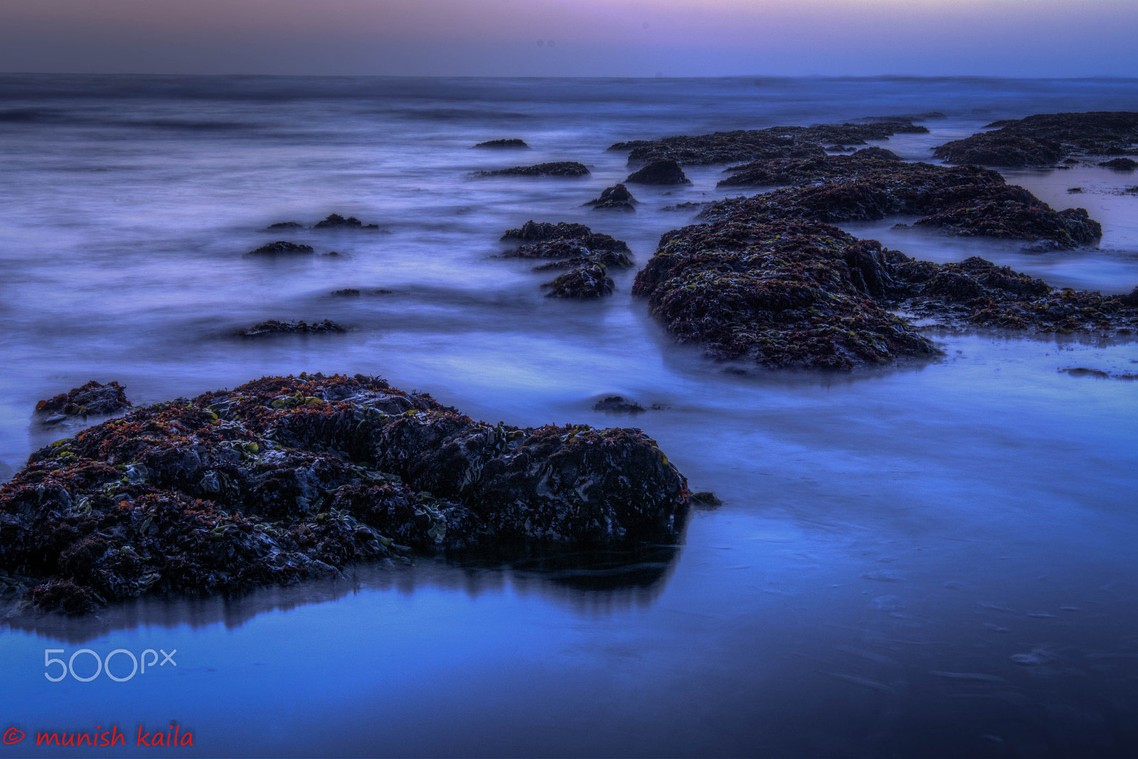Nikon AF-S Nikkor 16-35mm F4G ED VR sample photo. Blue hour moss photography
