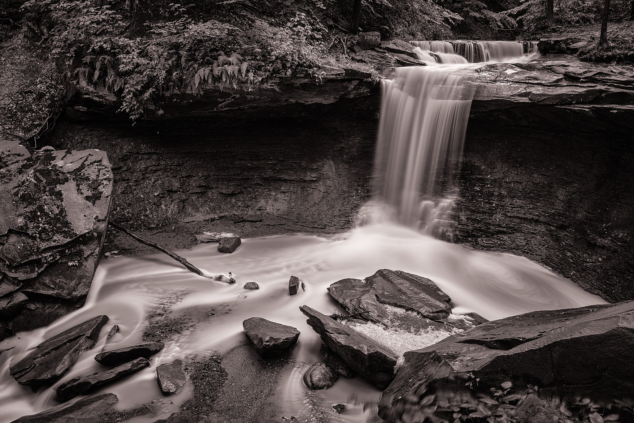 Nikon D610 + Tokina AT-X 17-35mm F4 Pro FX sample photo. Blue hens falls photography