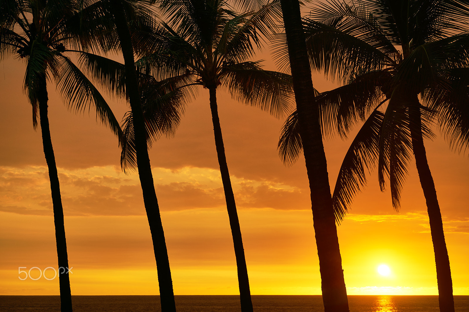 Sony FE 70-300mm F4.5-5.6 G OSS sample photo. Hawaii photography