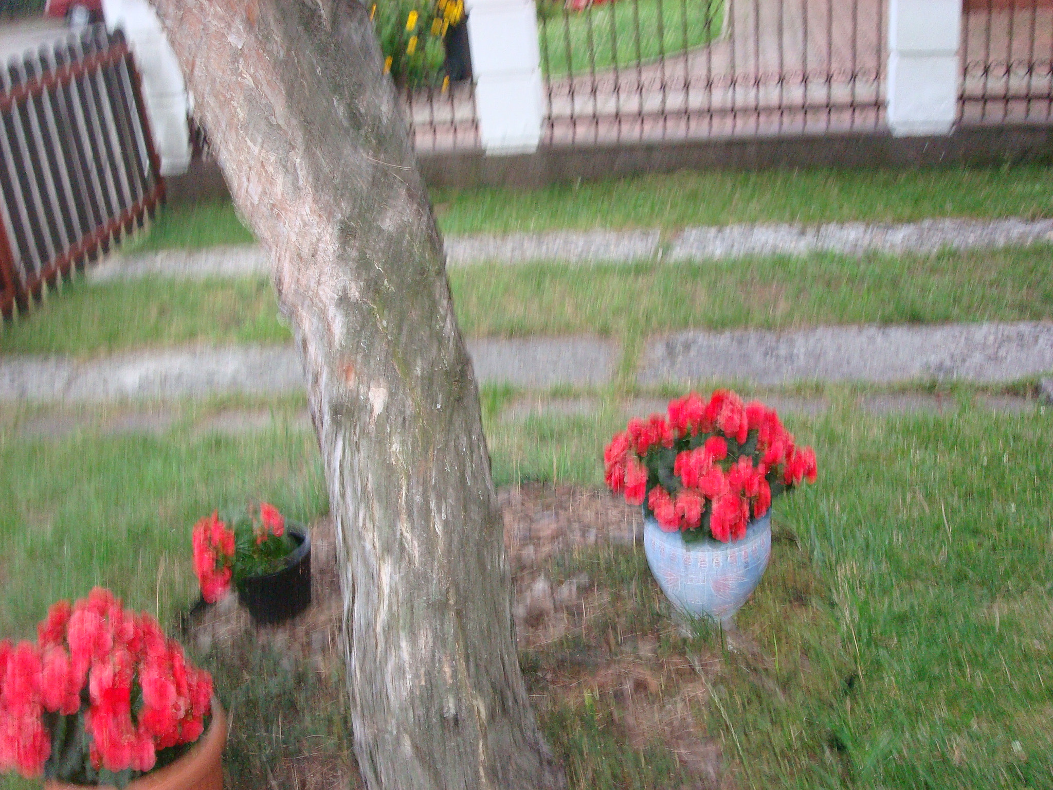 Sony DSC-W90 sample photo. 19680629861.jpg photography