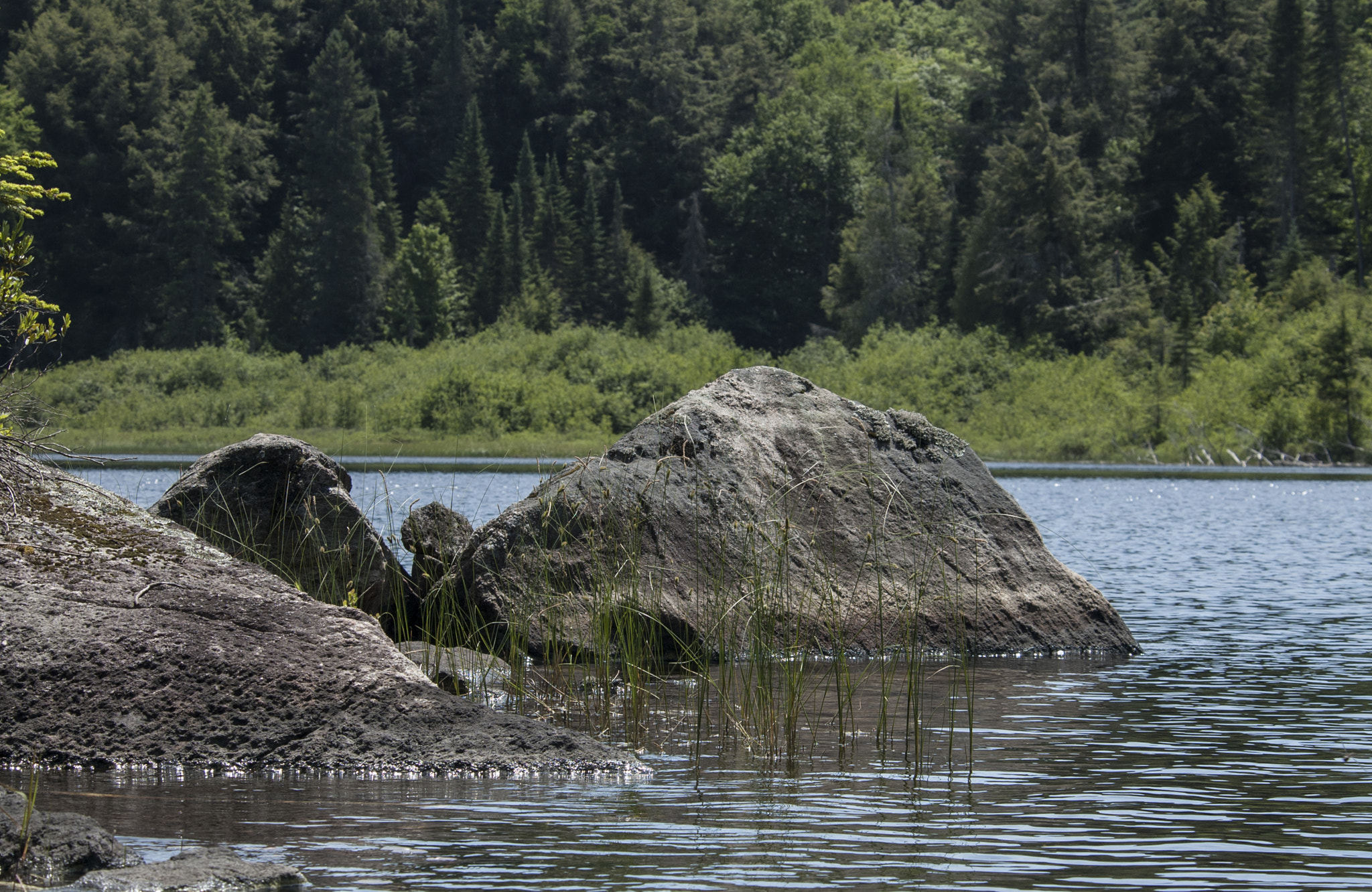 Nikon D50 sample photo. Algonquin landscape photography