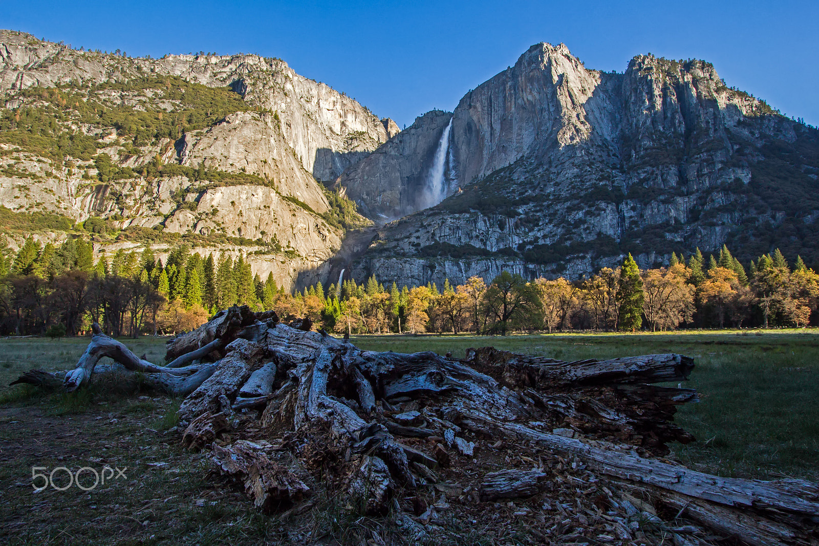 Canon EF-S 10-22mm F3.5-4.5 USM sample photo. Yosemite national park photography
