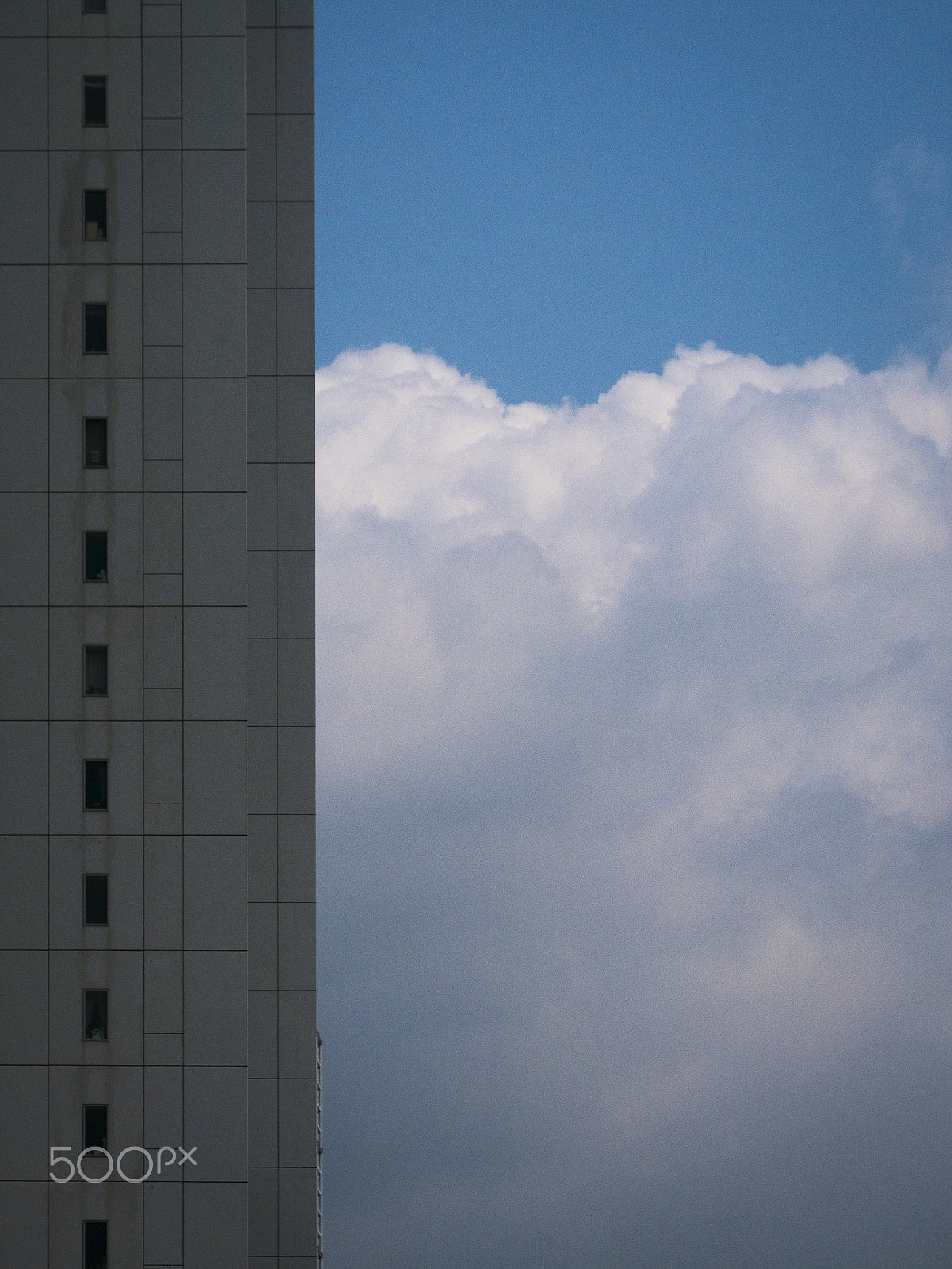 Olympus M.Zuiko Digital ED 60mm F2.8 Macro sample photo. Vertical sky photography