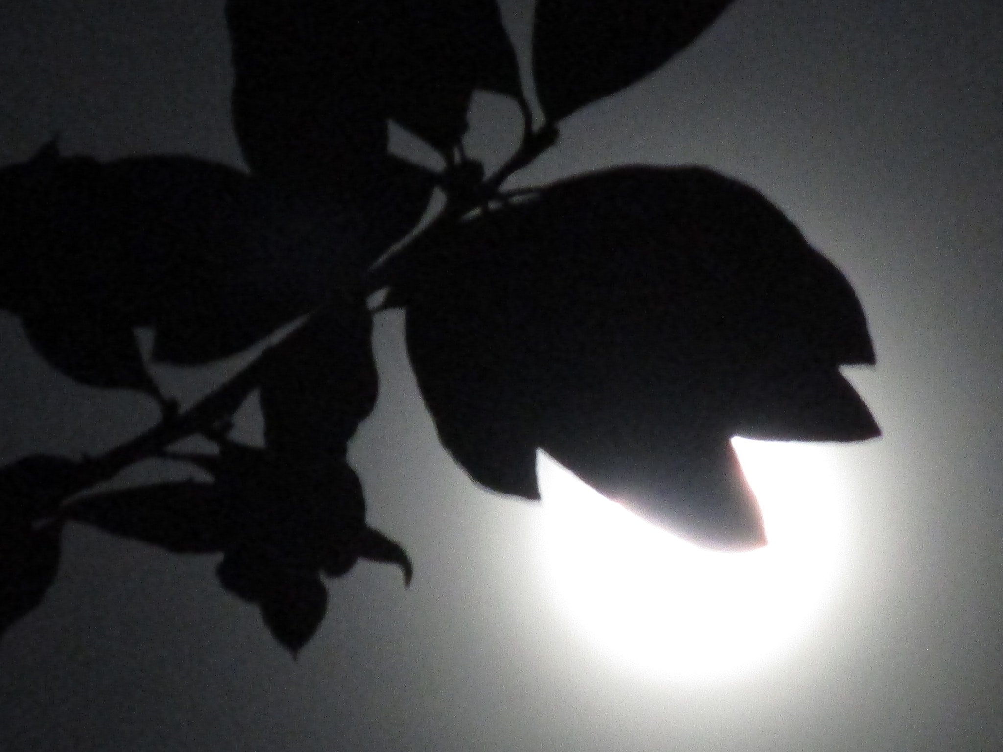 Canon PowerShot ELPH 150 IS (IXUS 155 / IXY 140) sample photo. Sin titulo. julio de 2016 rosario, santa fe photography