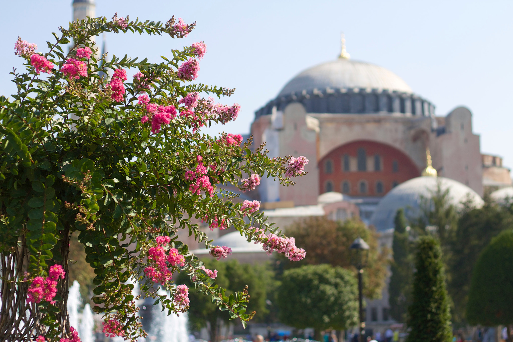 Canon EOS 1100D (EOS Rebel T3 / EOS Kiss X50) + Canon EF 50mm F1.8 II sample photo. Hagia sophia photography